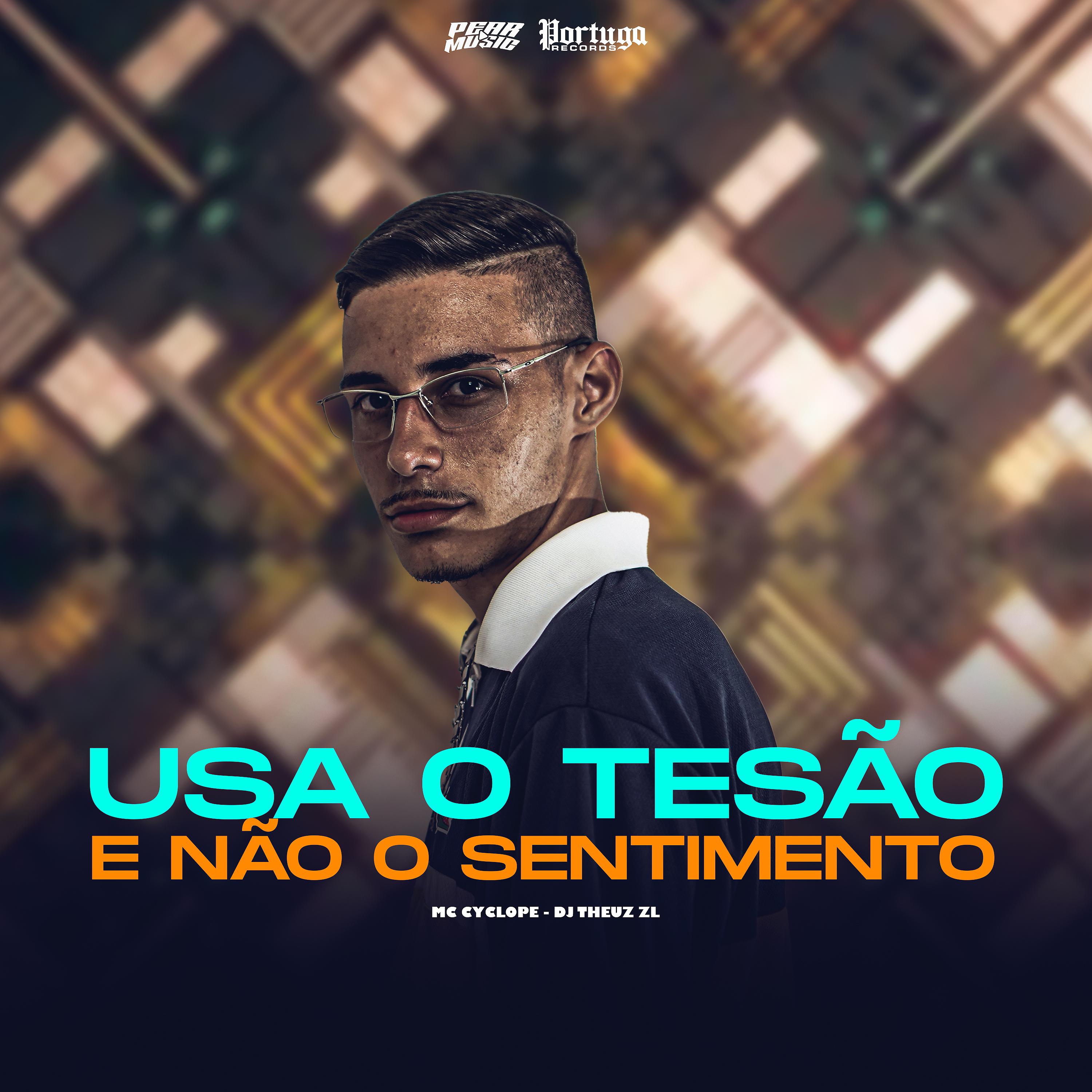 Постер альбома Usa o Tesão e Não o Sentimento