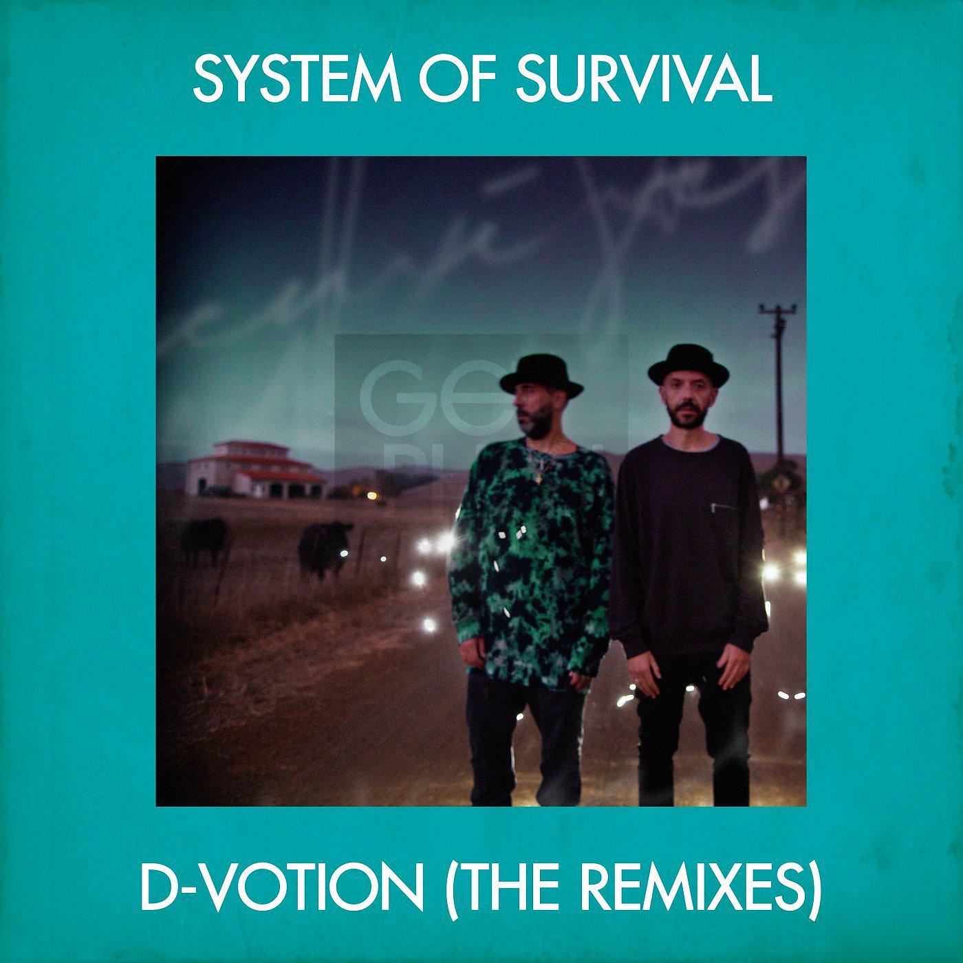 Постер альбома D-Votion (The Remixes)