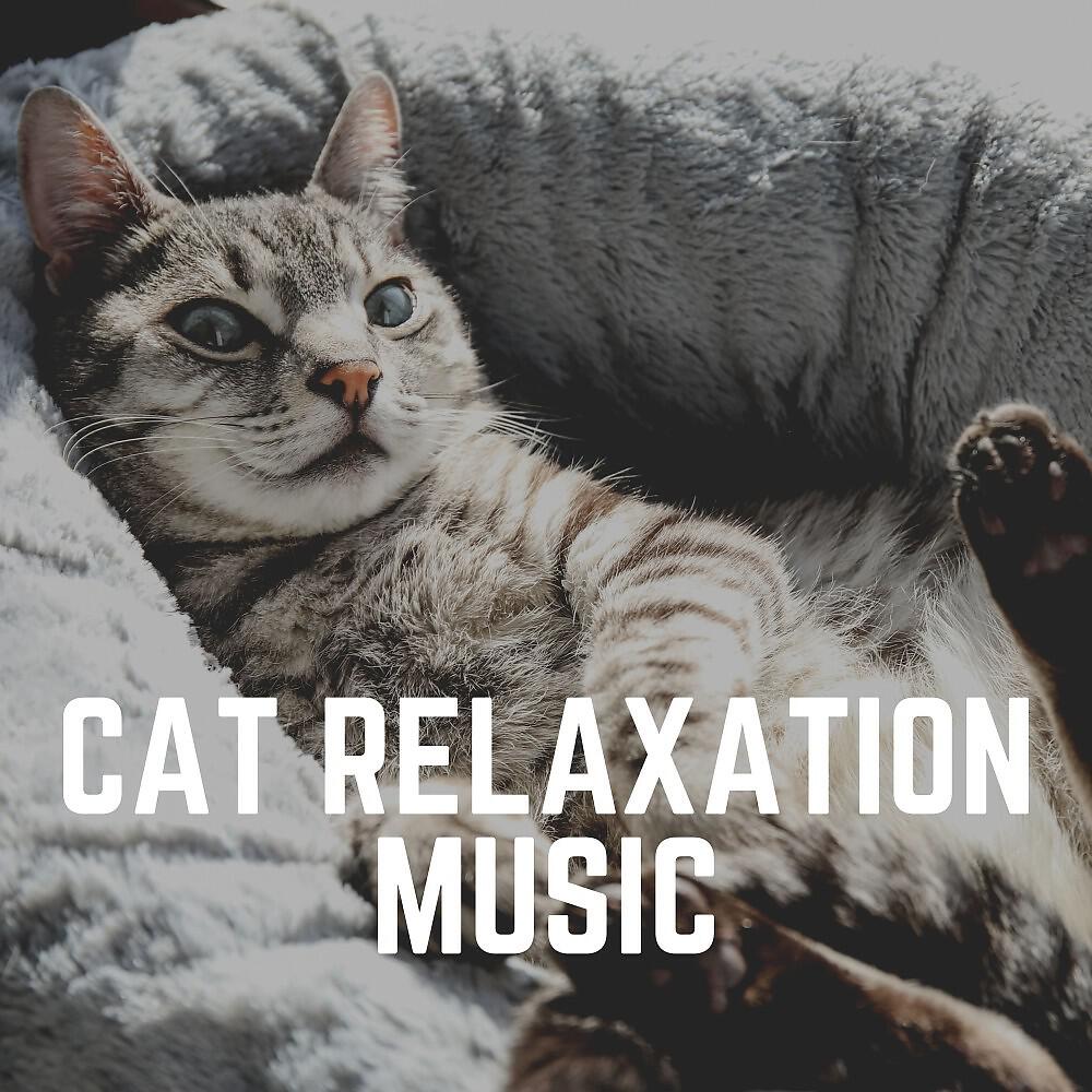 Music For Cats Peace - A Cat's Fave Sound Track