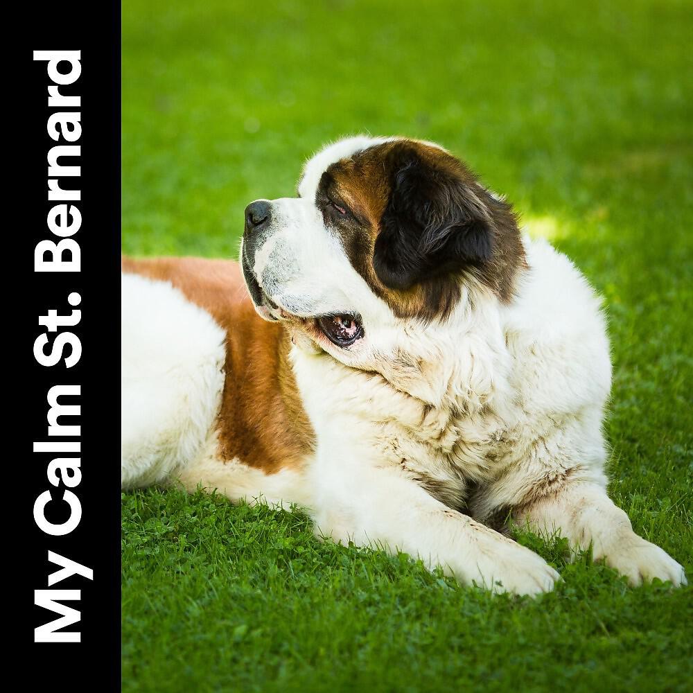 Calm Dog Music - Our Dogs' Fave Track