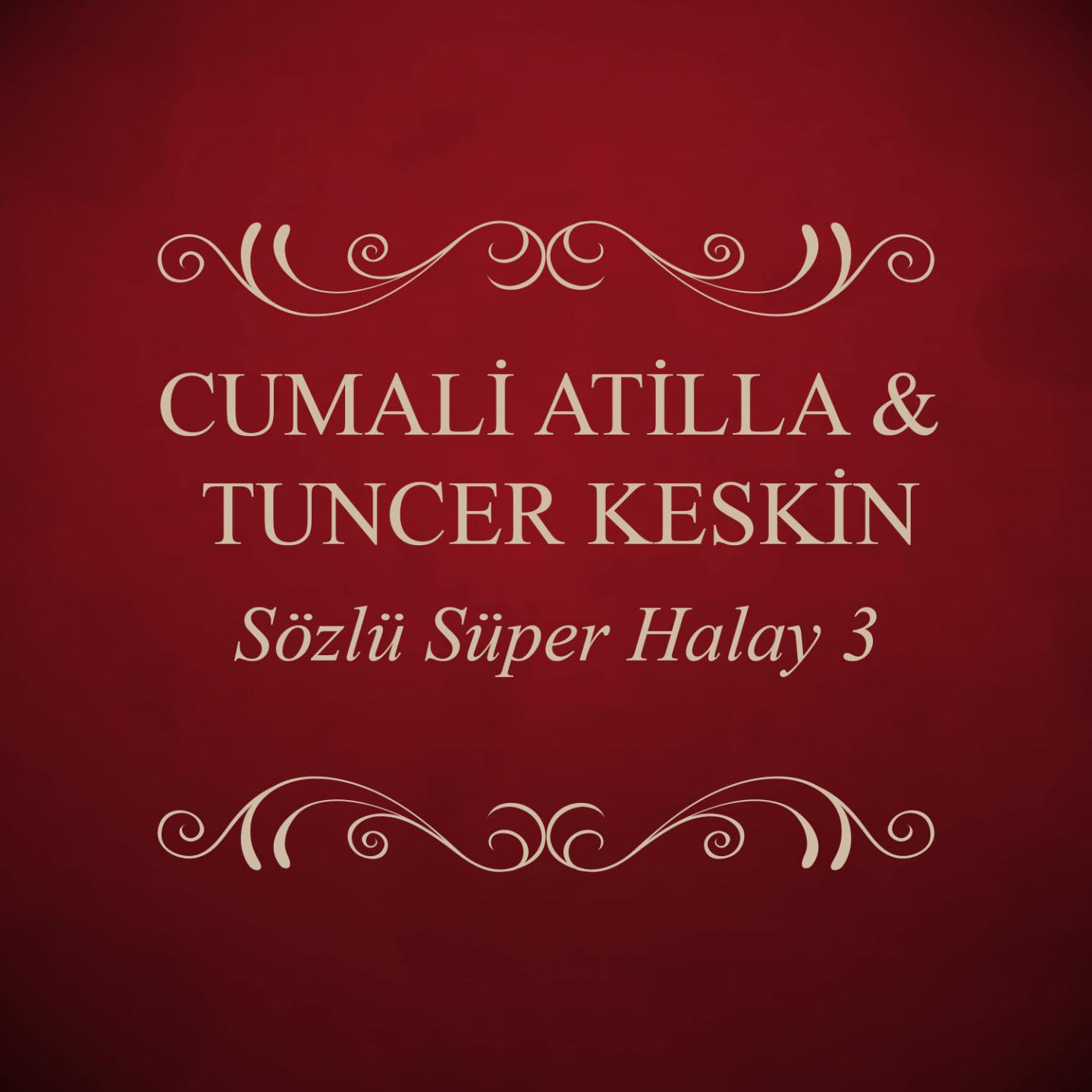 Постер альбома Sözlü Süper Halay, Vol. 3