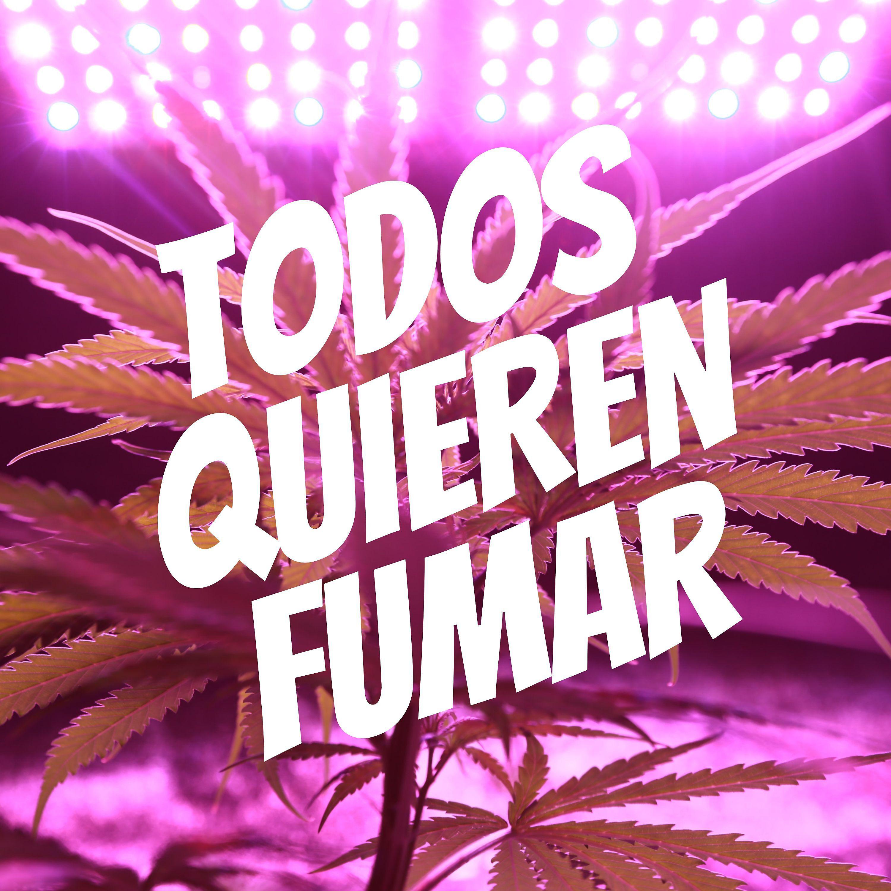 Постер альбома Todos Quieren Fumar
