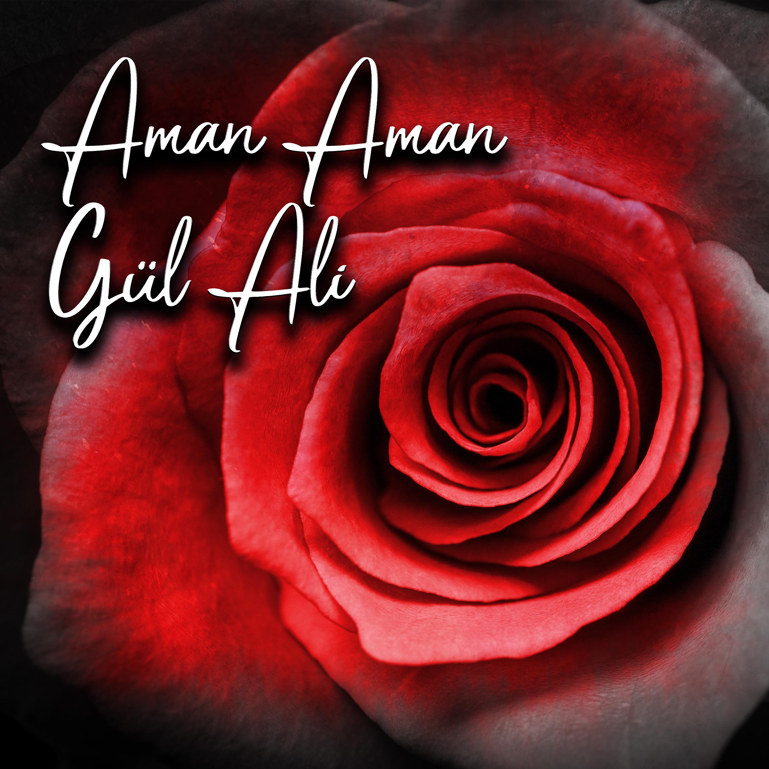 Постер альбома Aman Aman Gül Ali