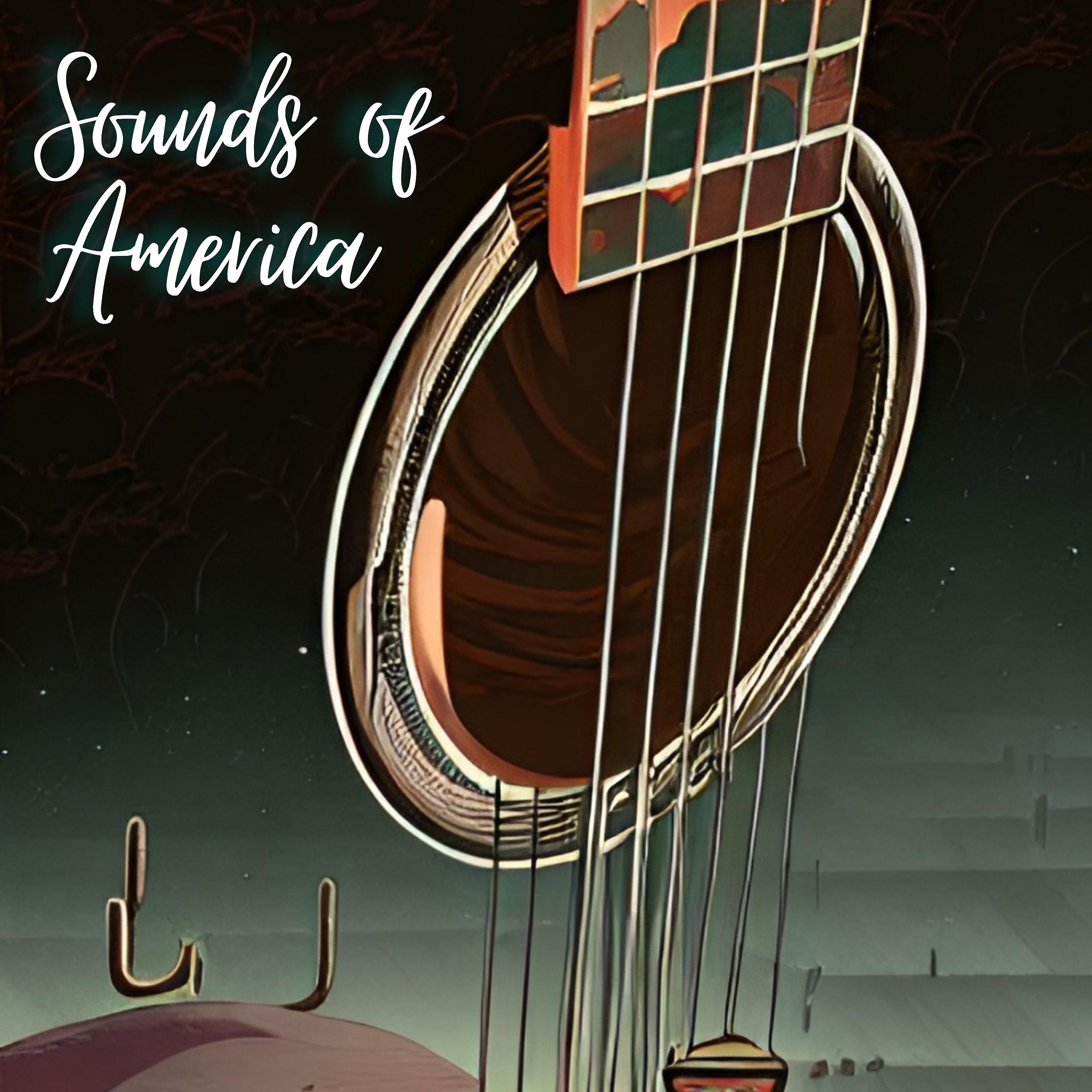 Постер альбома Sounds of America