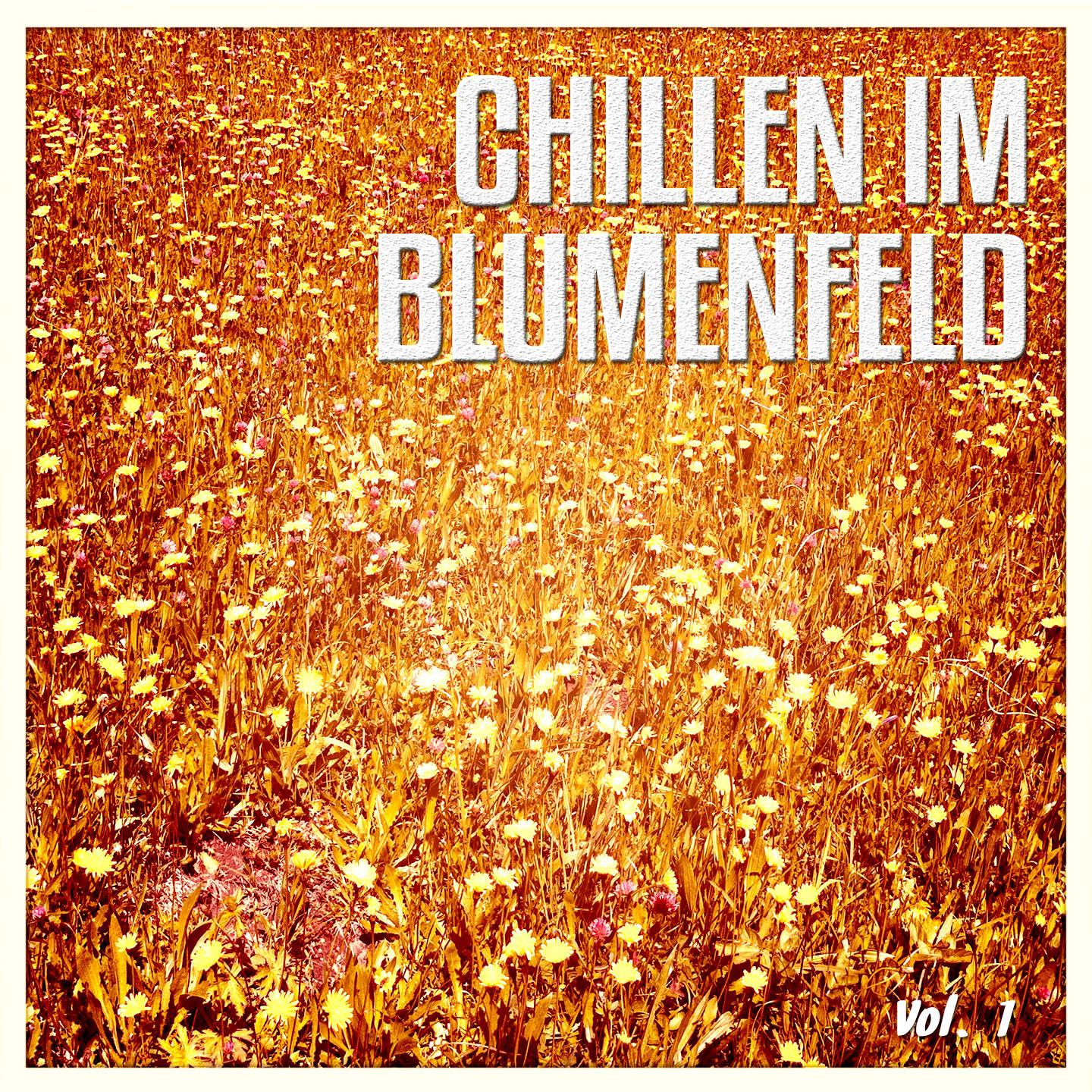 Постер альбома Chillen Im Blumenfeld, Vol. 1