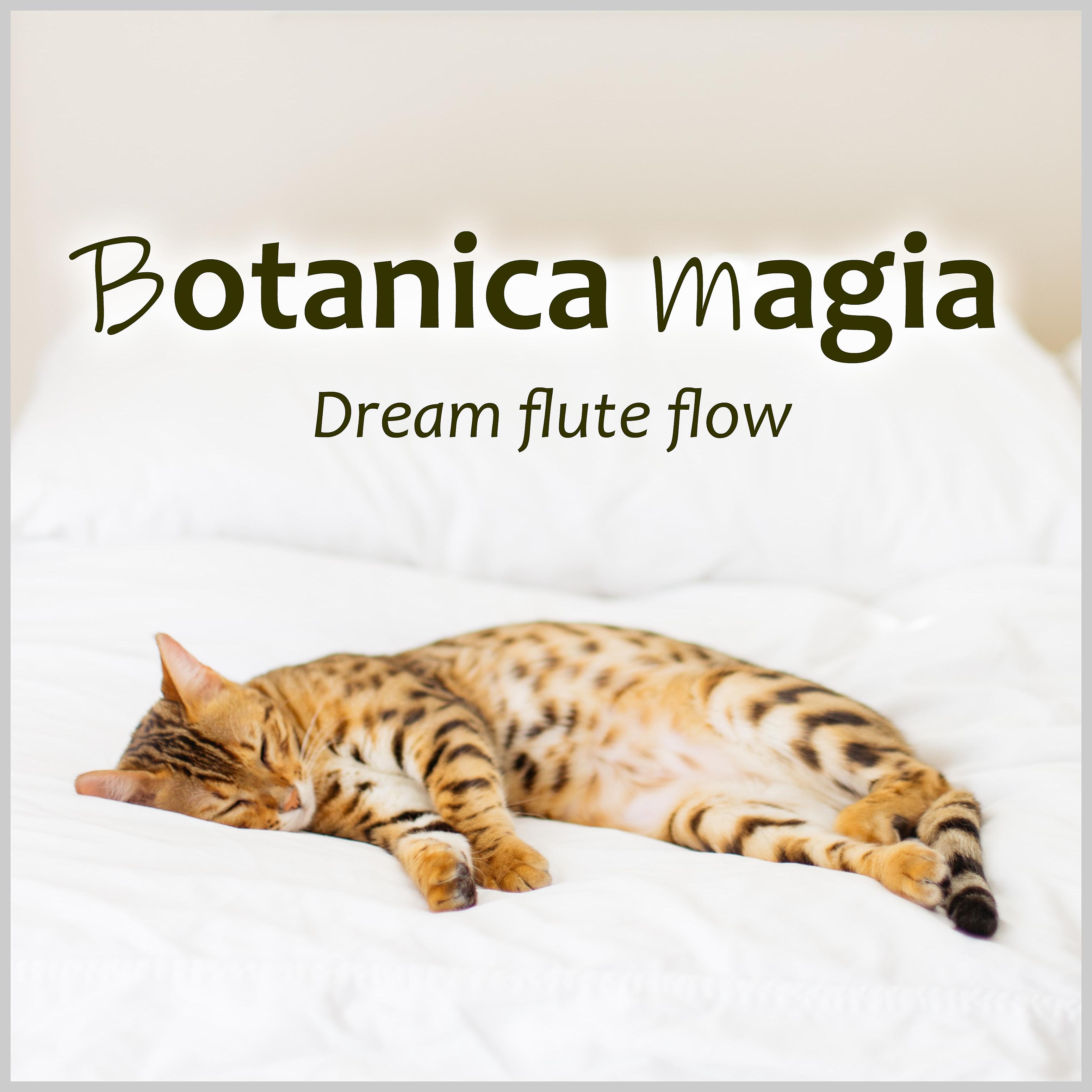 Постер альбома Dream Flute Flow