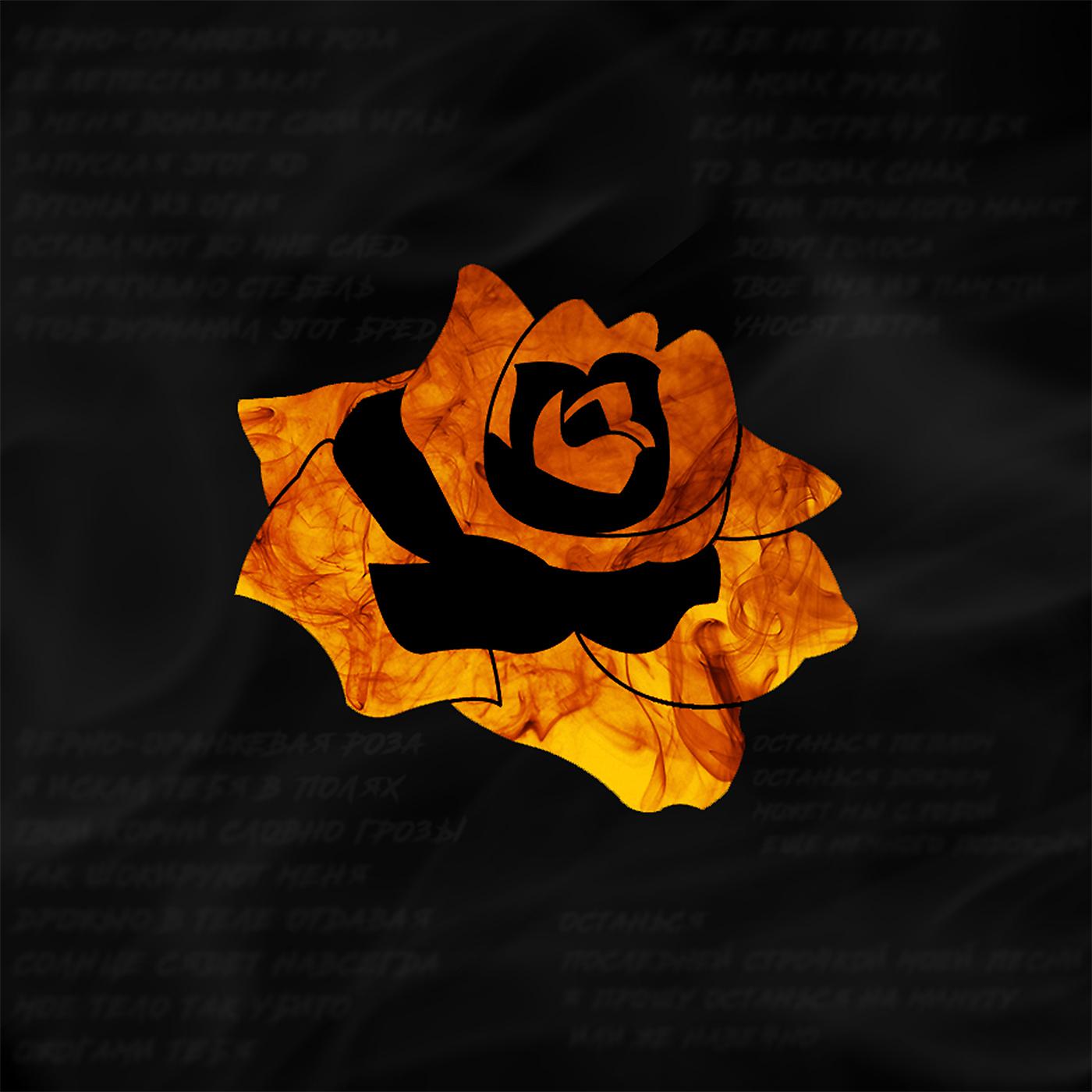 Постер альбома Чёрно-оранжевая роза