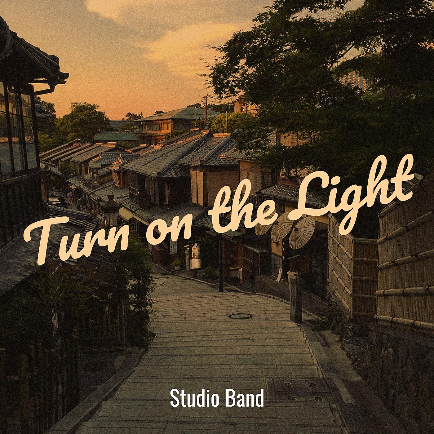 Постер альбома Turn on the Light