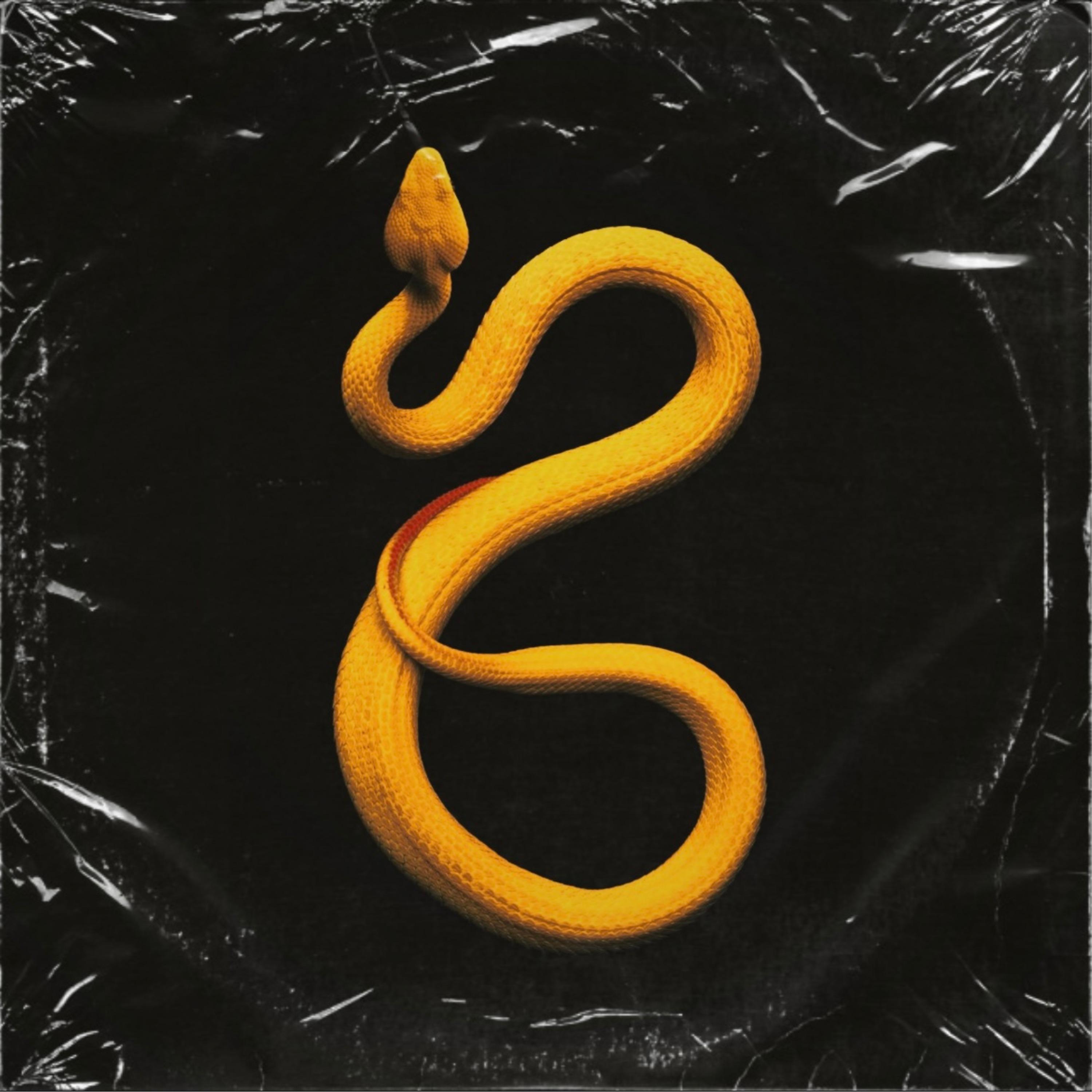 Постер альбома Укрощаю змей