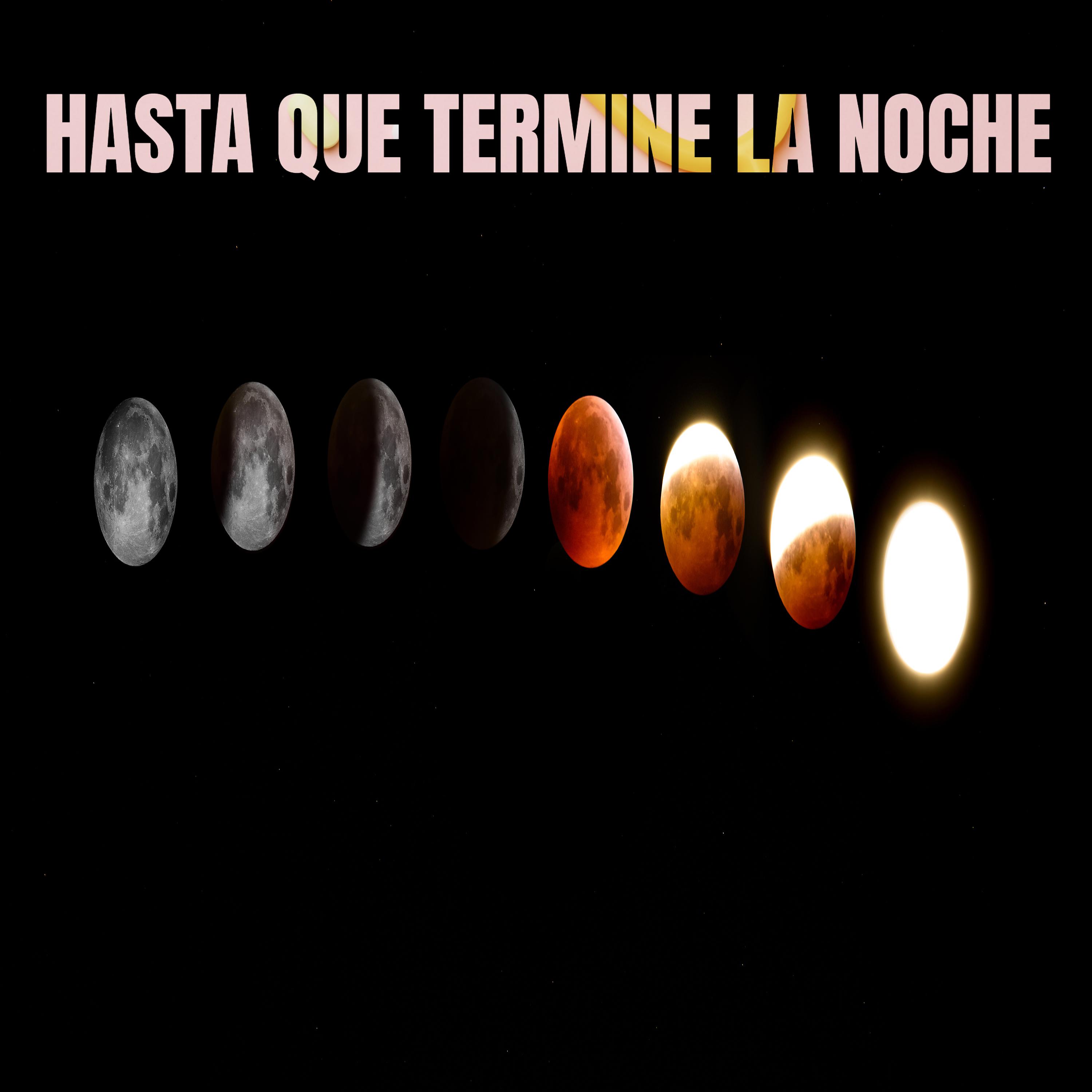 Постер альбома Hasta que termine la noche