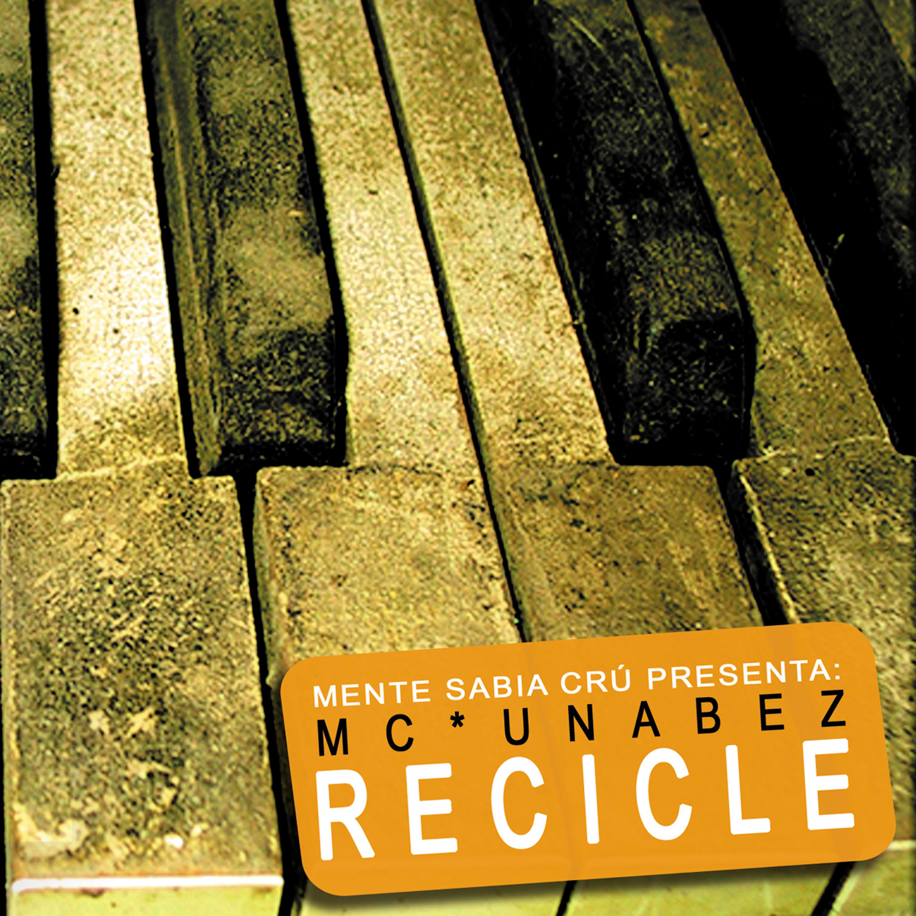Постер альбома Recicle