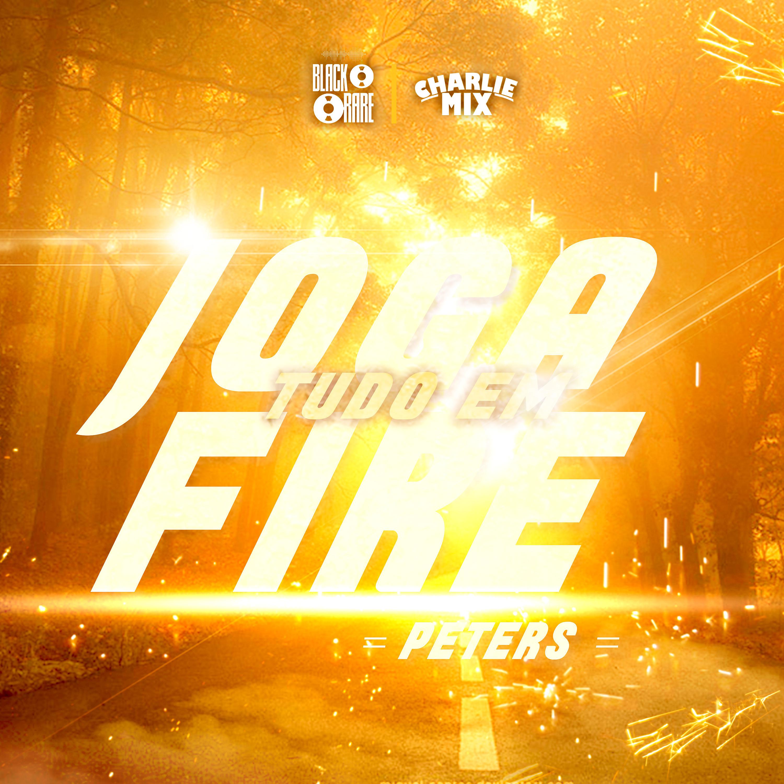 Постер альбома Joga Tudo em Fire