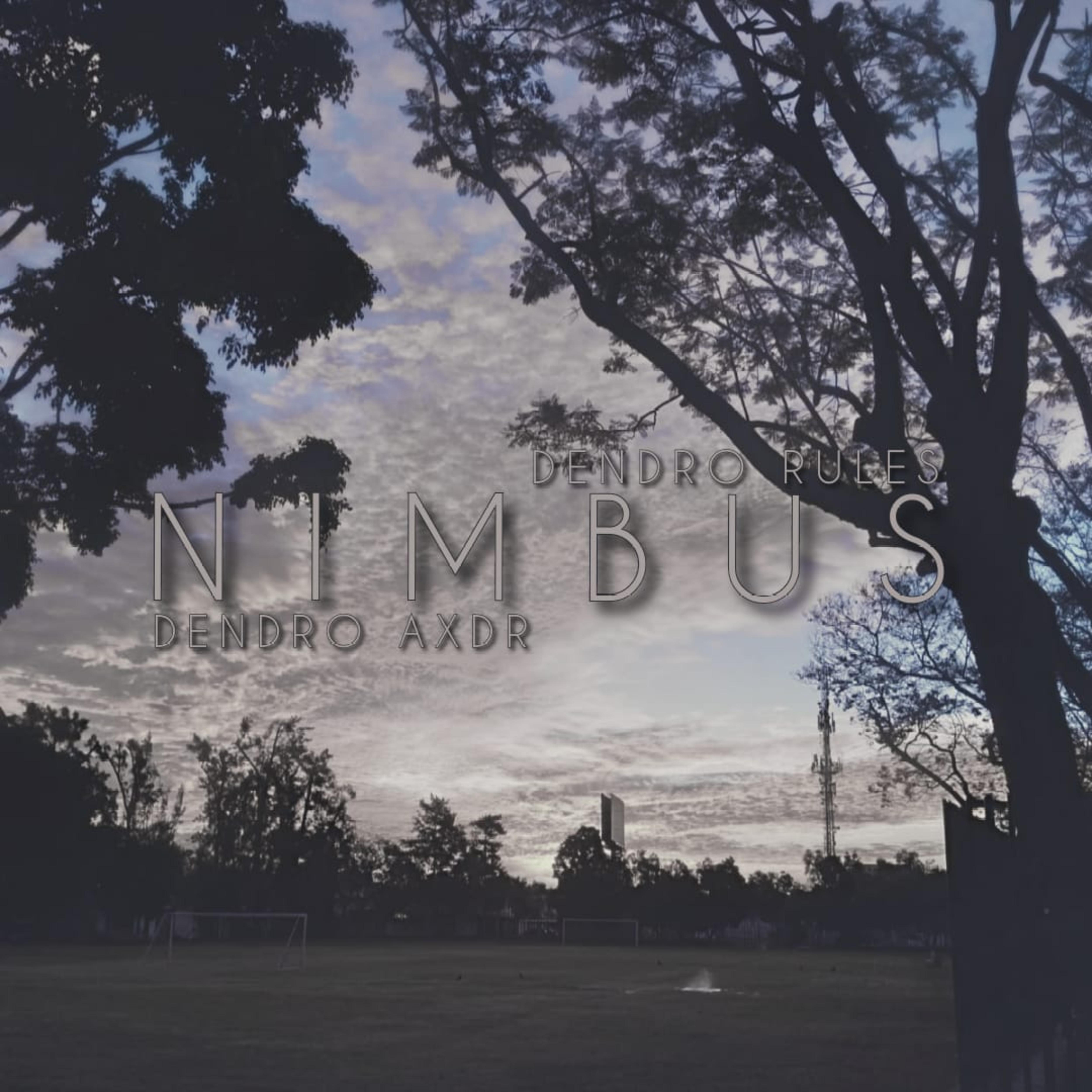 Постер альбома Nimbus