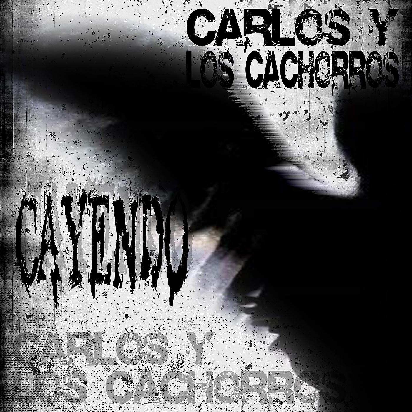 Постер альбома Cayendo