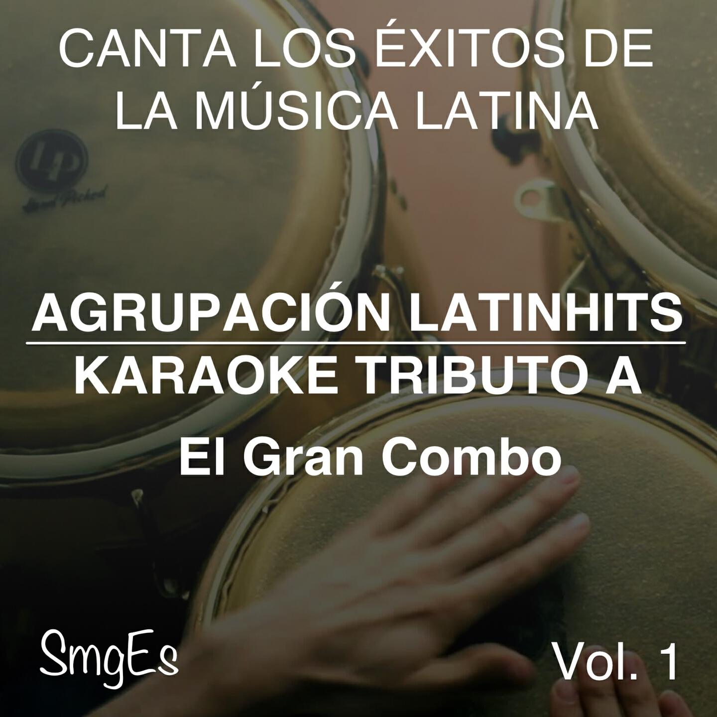 Agrupacion LatinHits - Amor Perfecto