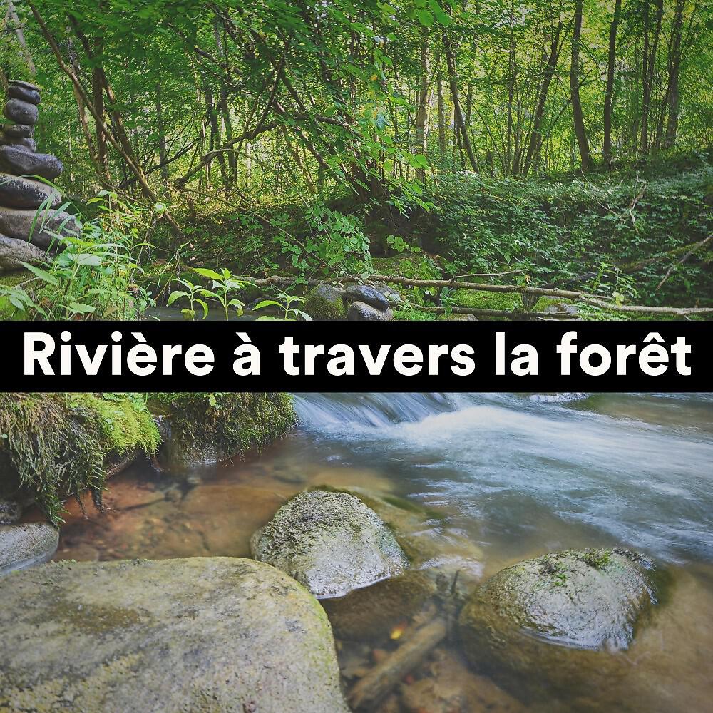 Détente et Relaxation - Des mélodies du paradis