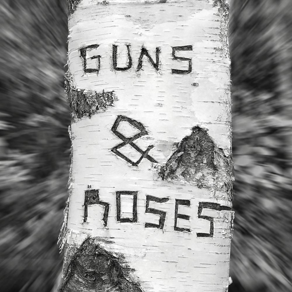 Постер альбома Guns & Roses