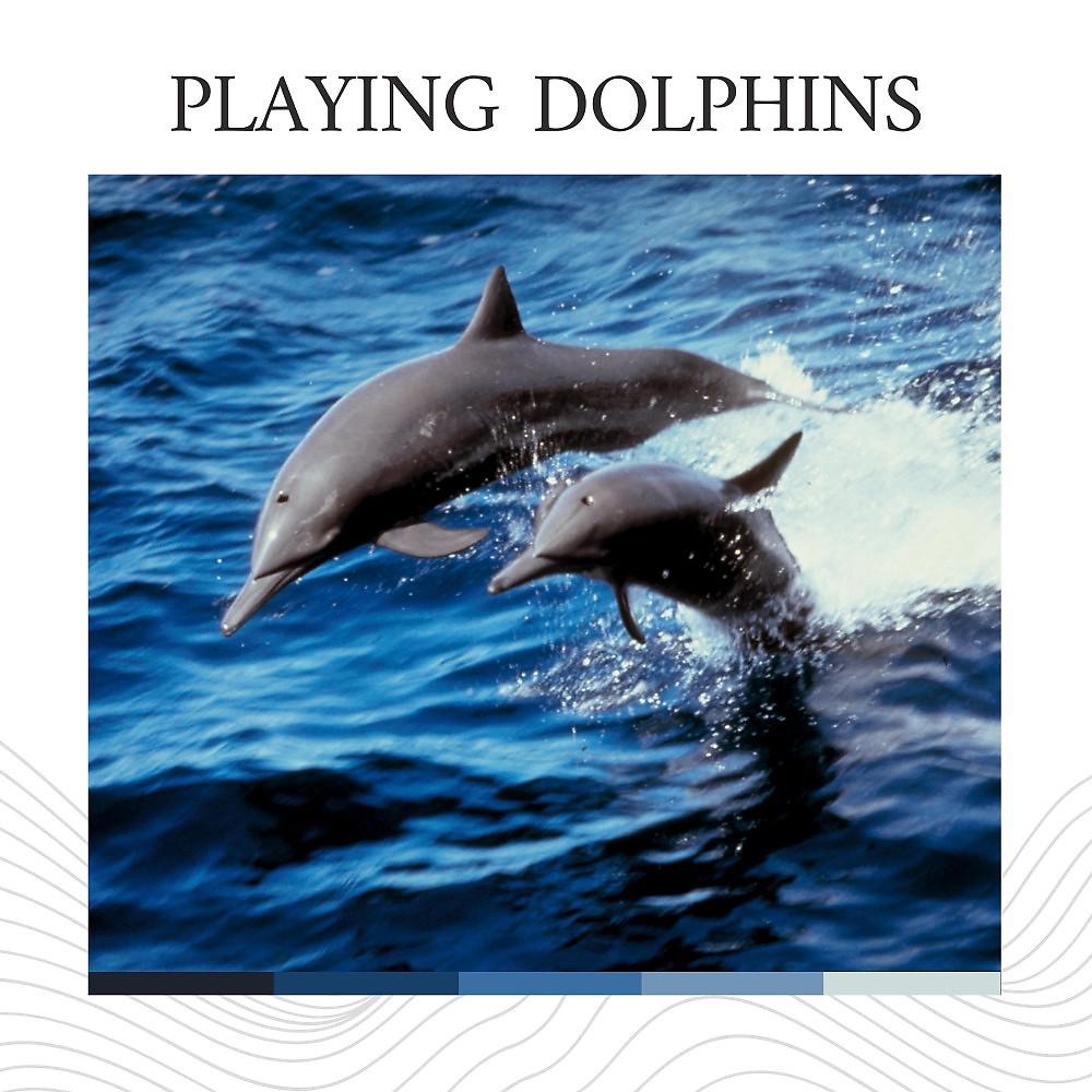 Постер альбома Playing Dolphins