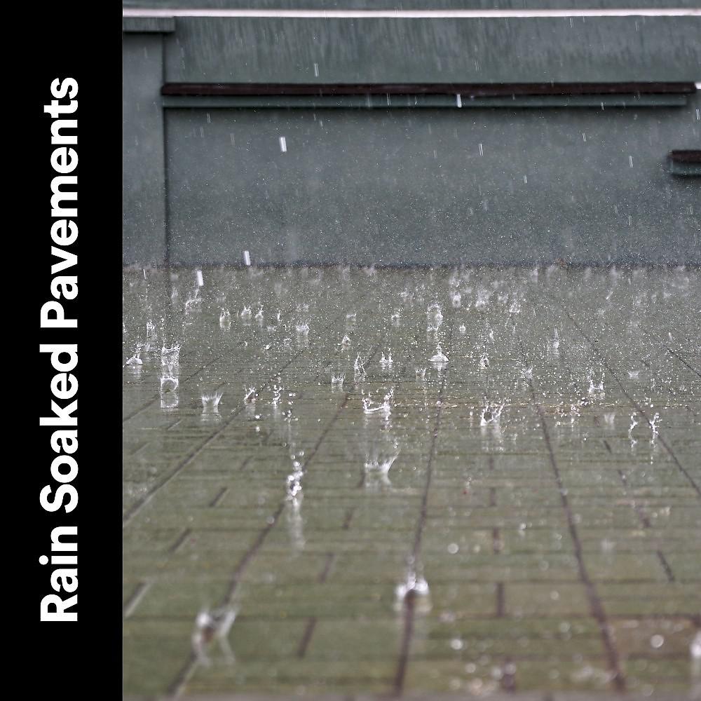 Постер альбома Rain Soaked Pavements