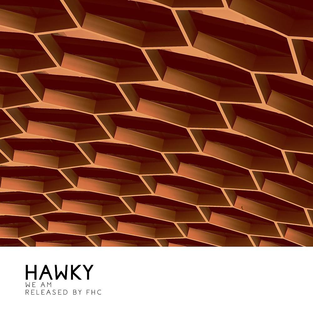 Постер альбома Hawky
