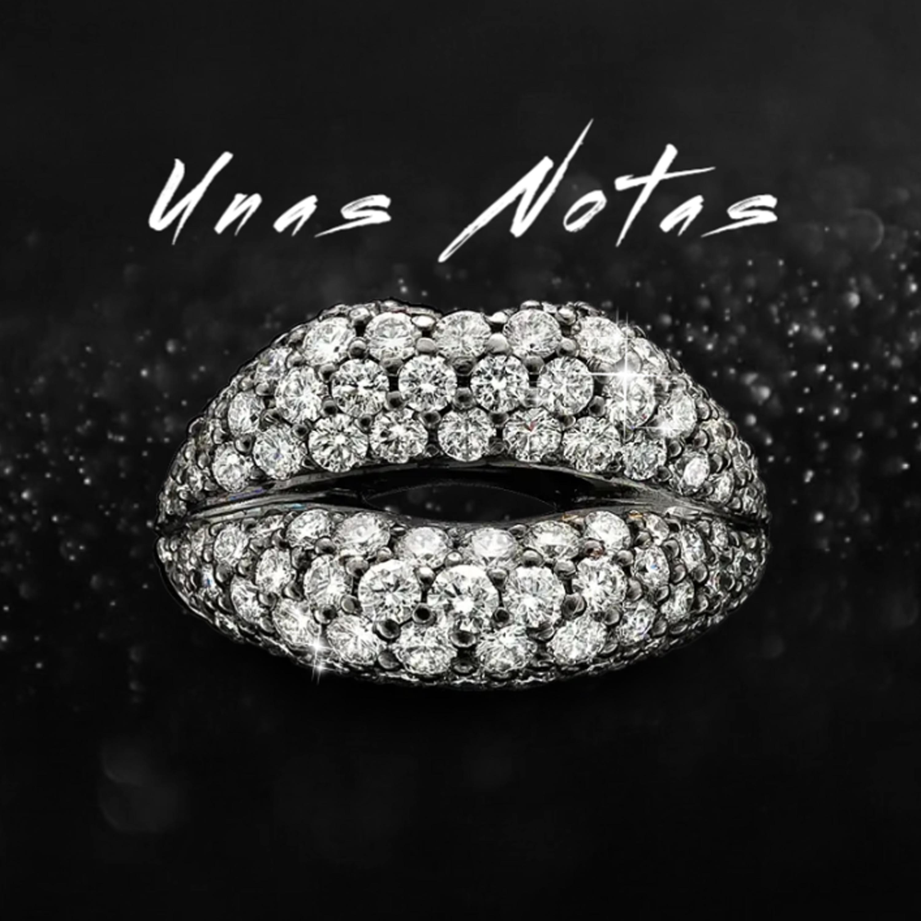 Постер альбома Unas Notas