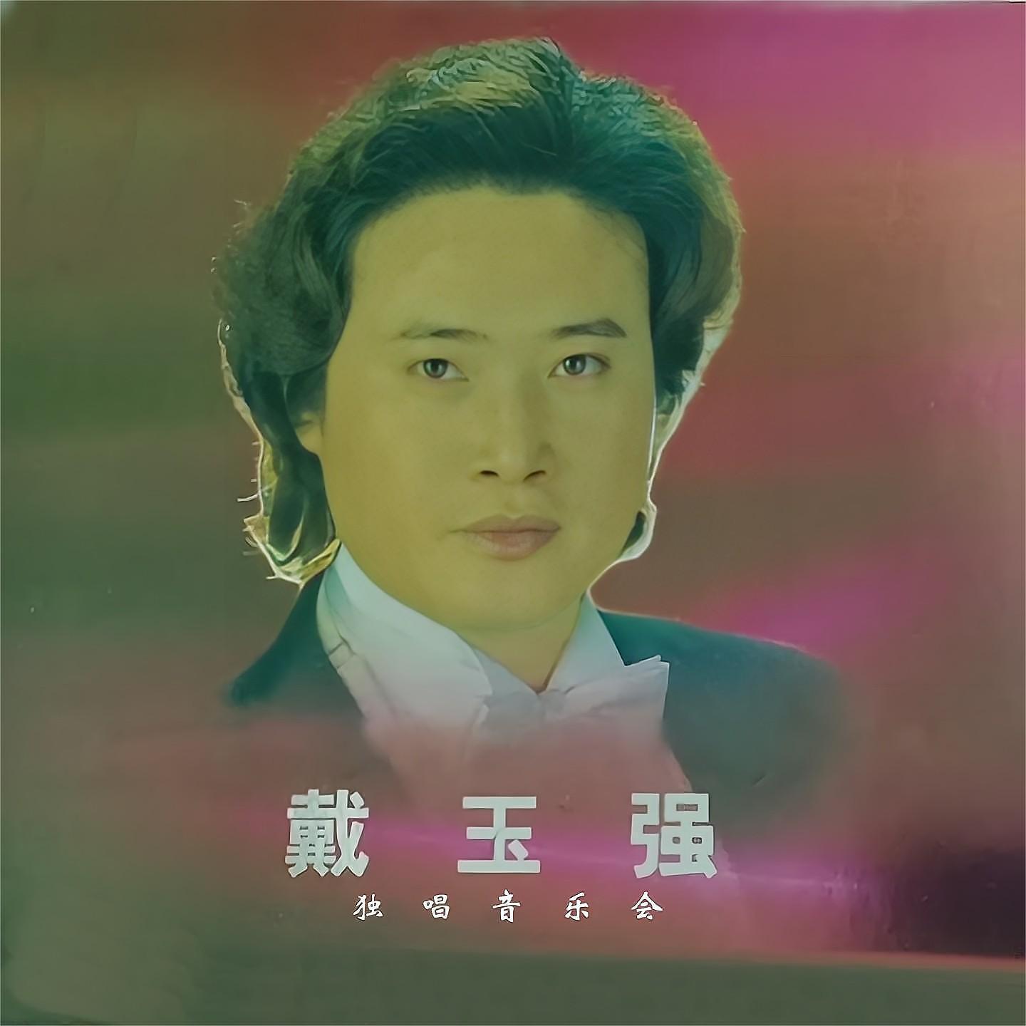 Постер альбома 戴玉强 - 独唱音乐会