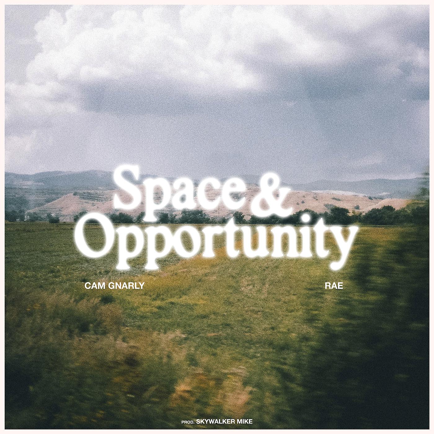Постер альбома Space & Opportunity