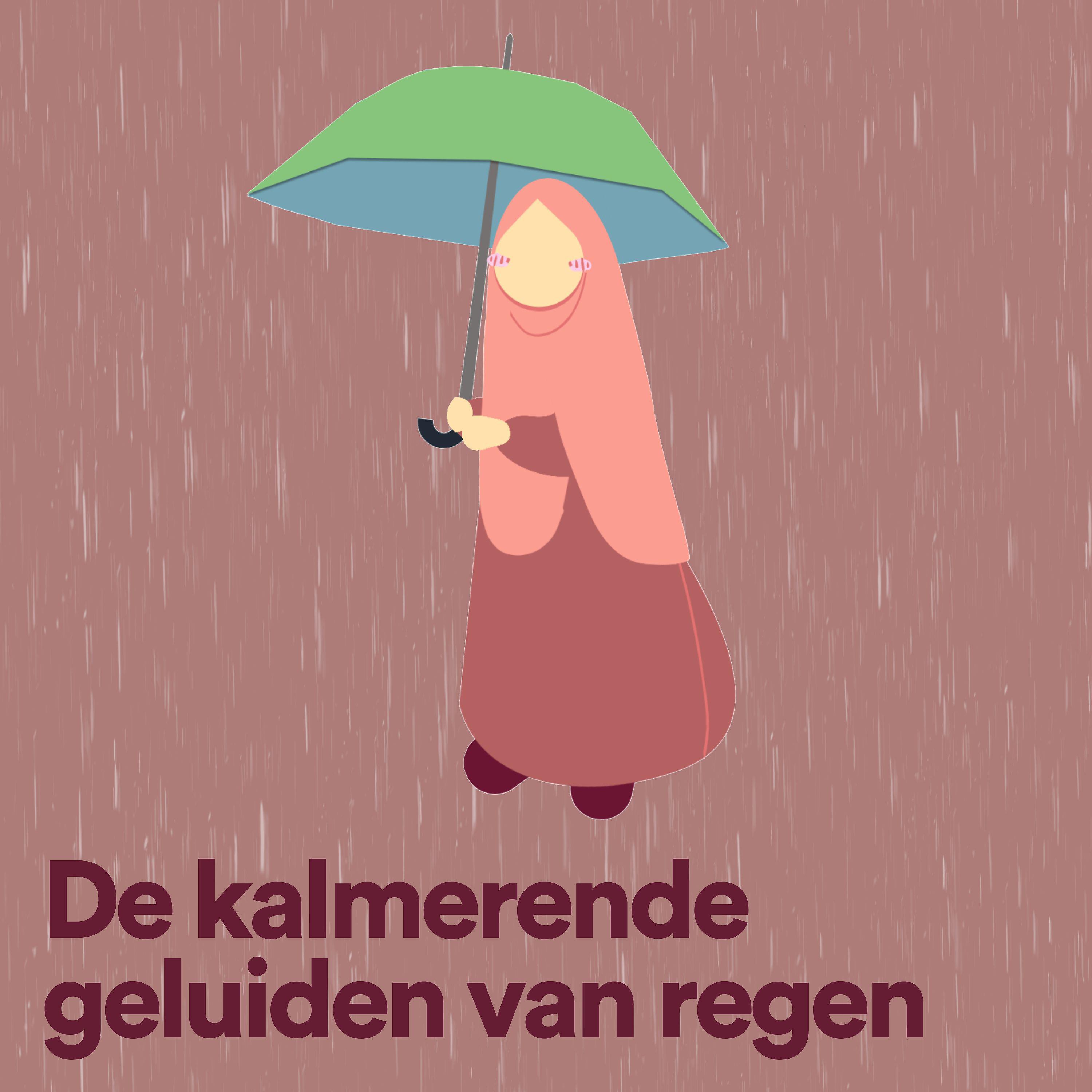 Постер альбома De kalmerende geluiden van regen