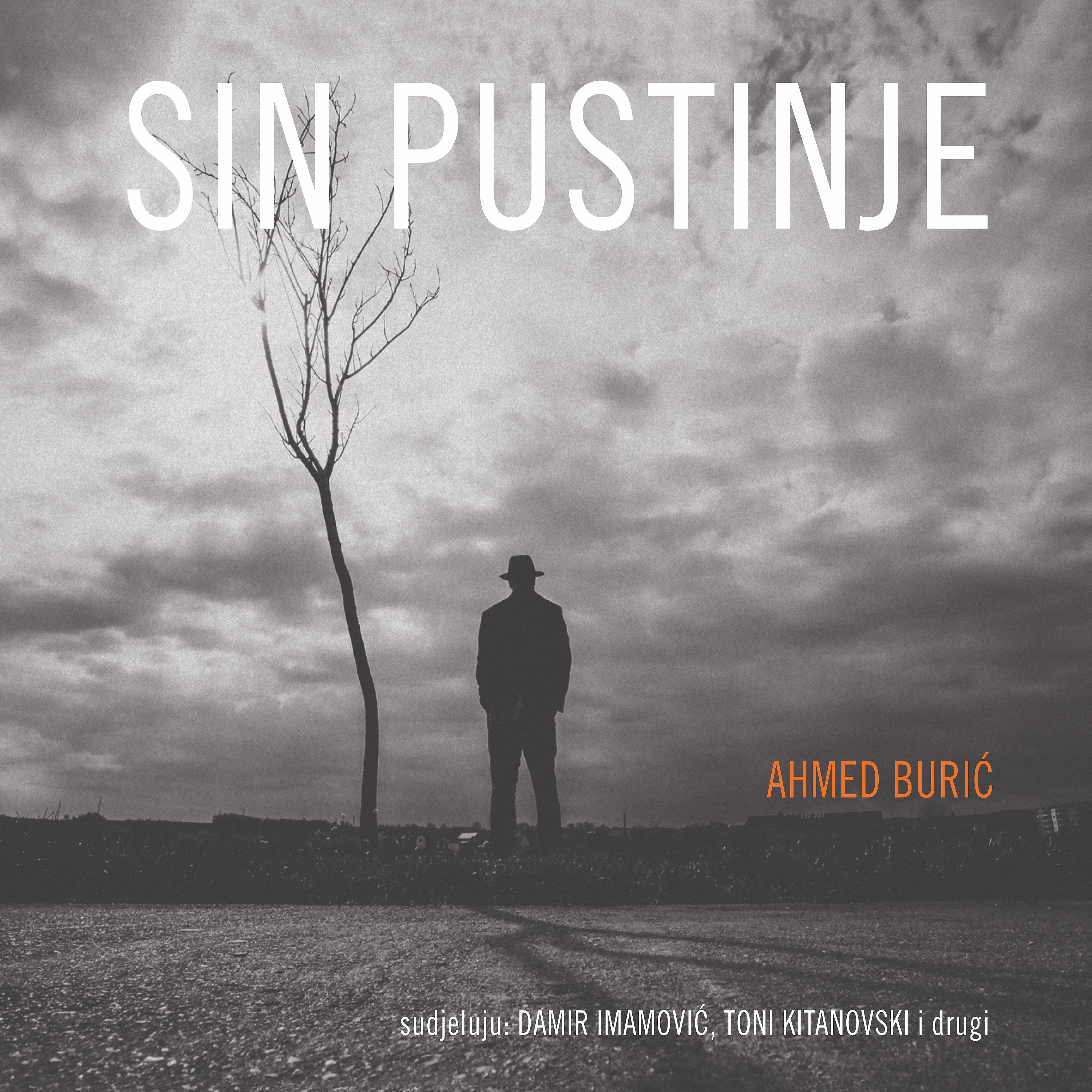 Постер альбома Sin pustinje