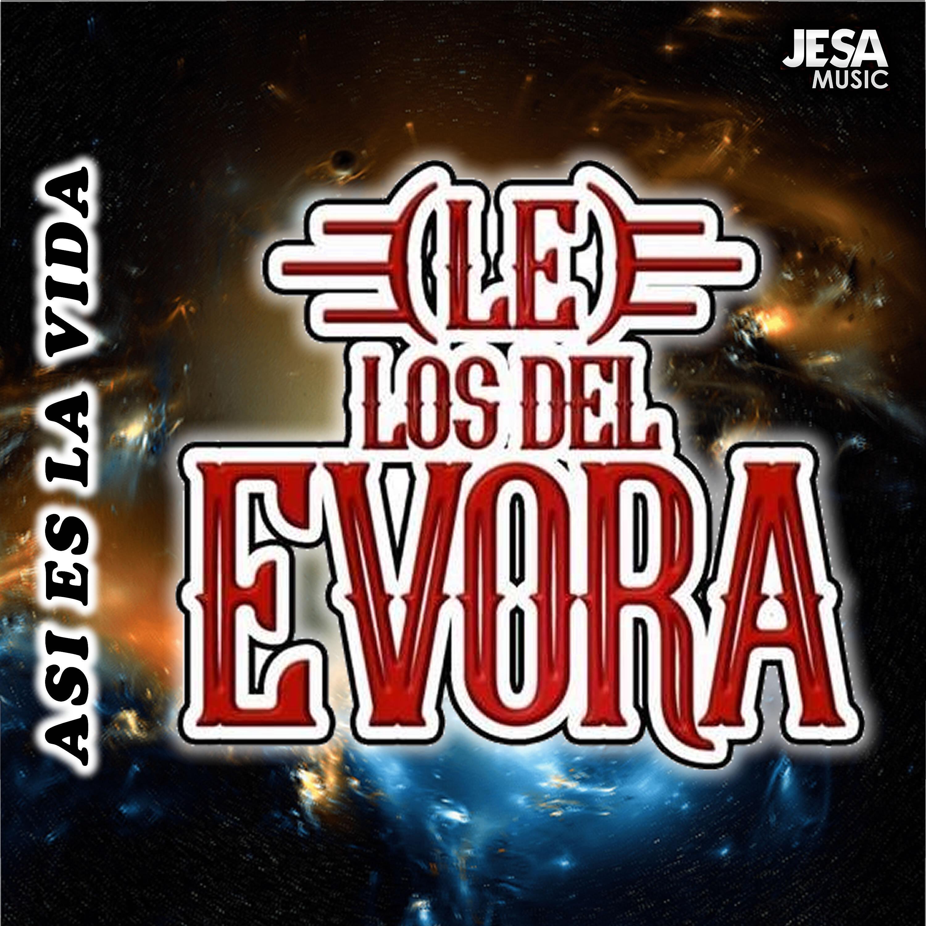 Постер альбома Asi Es la Vida