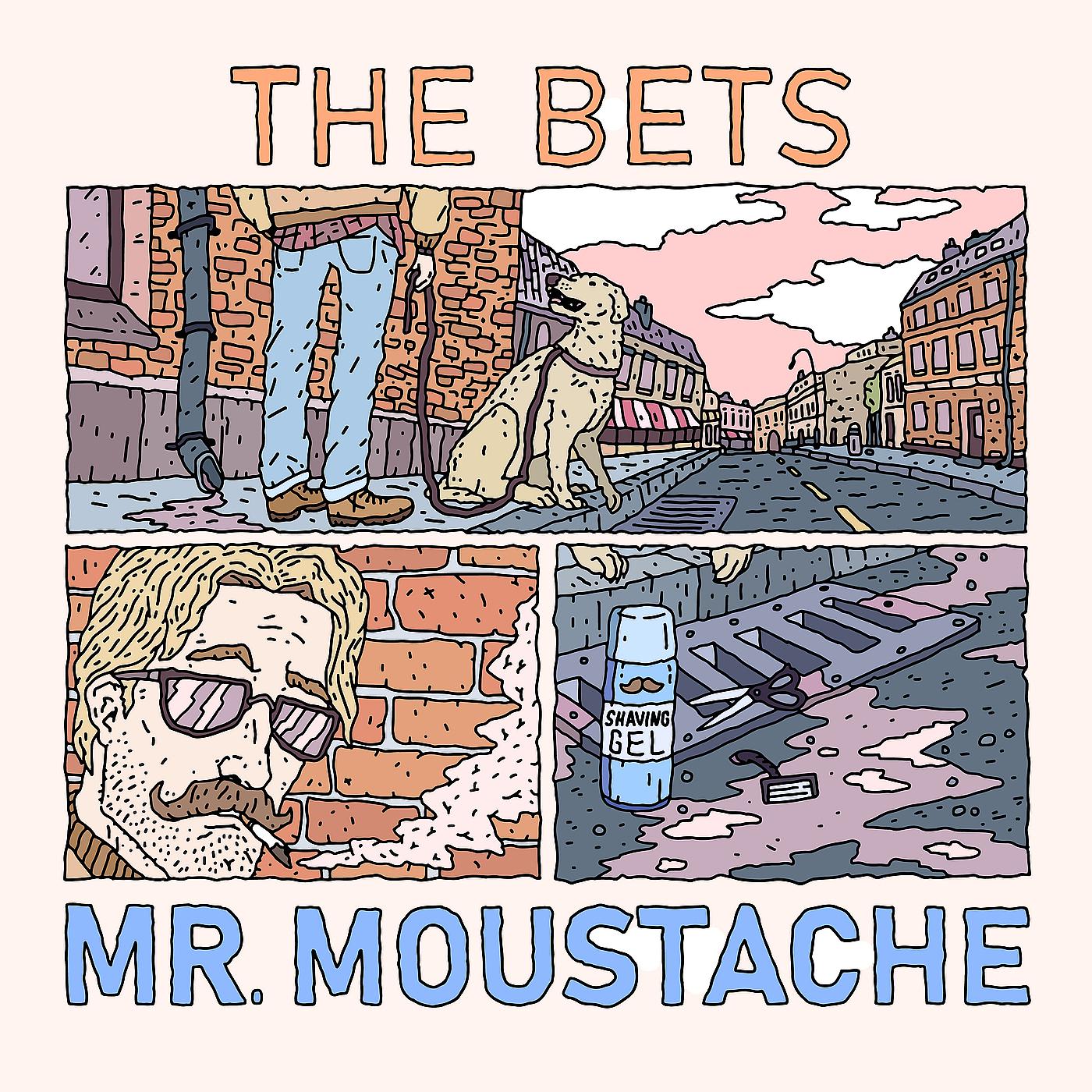 Постер альбома Mr. Moustache