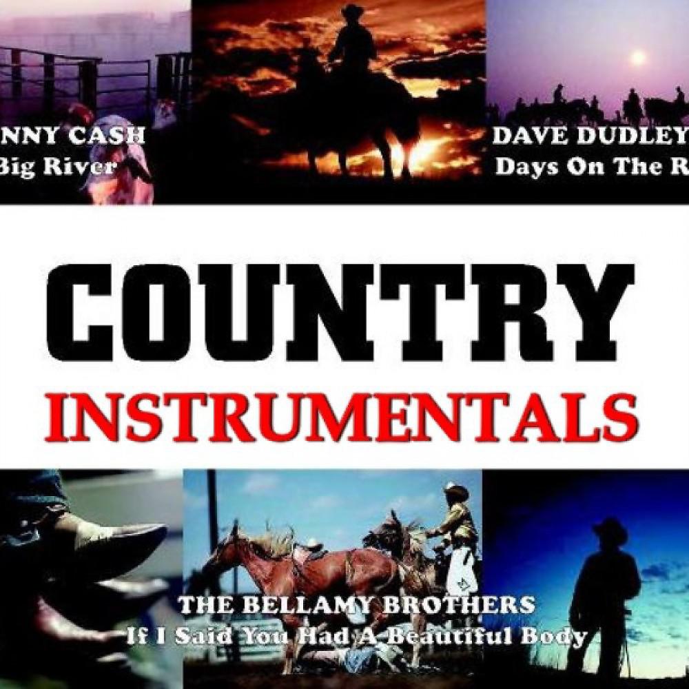 Постер альбома Country Hits Instrumental Vol. 2 Karaoke Playback