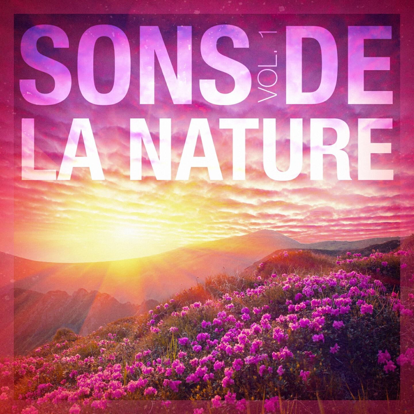 Bruits Naturels - Sons de la mer 3 : Vagues déferlantes