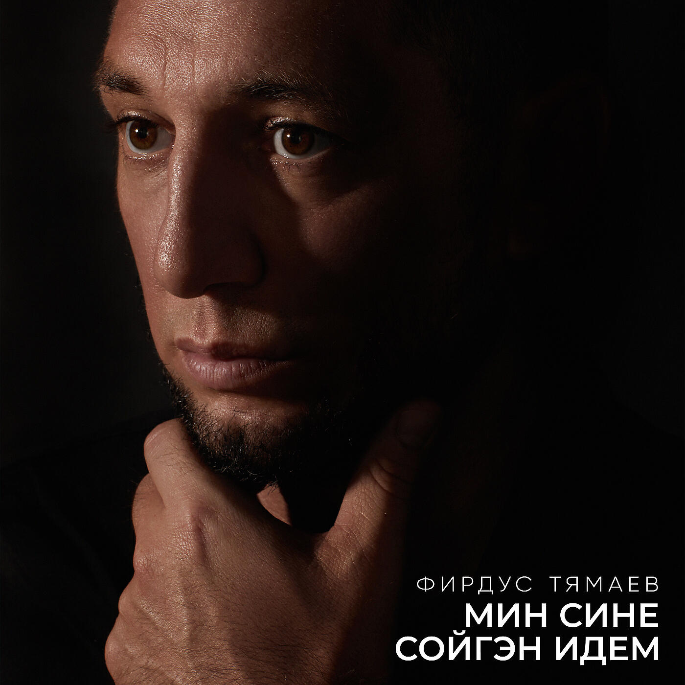 Фирдус Тямаев - Мин сине сойгэн идем