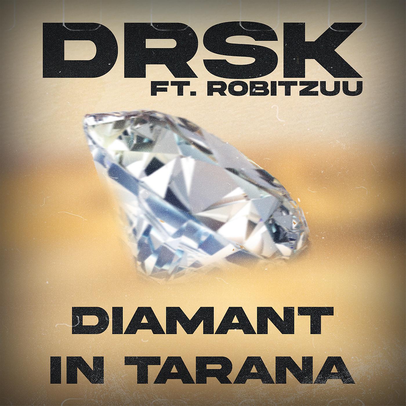 Постер альбома Diamant in Tarana