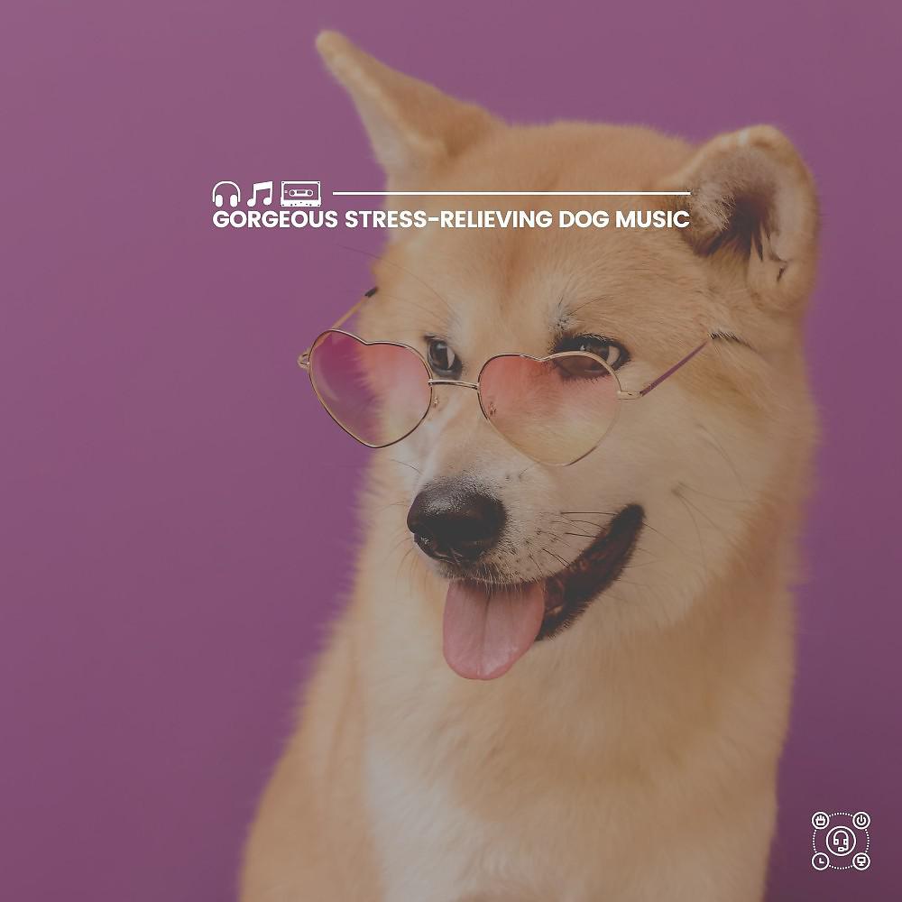 Постер альбома Gorgeous Stress-Relieving Dog Music