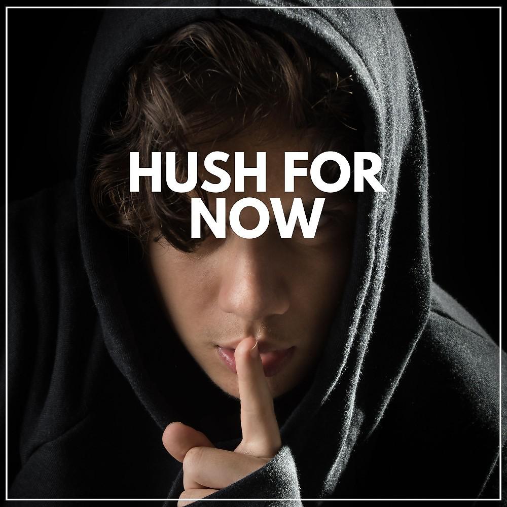 Постер альбома Hush for Now