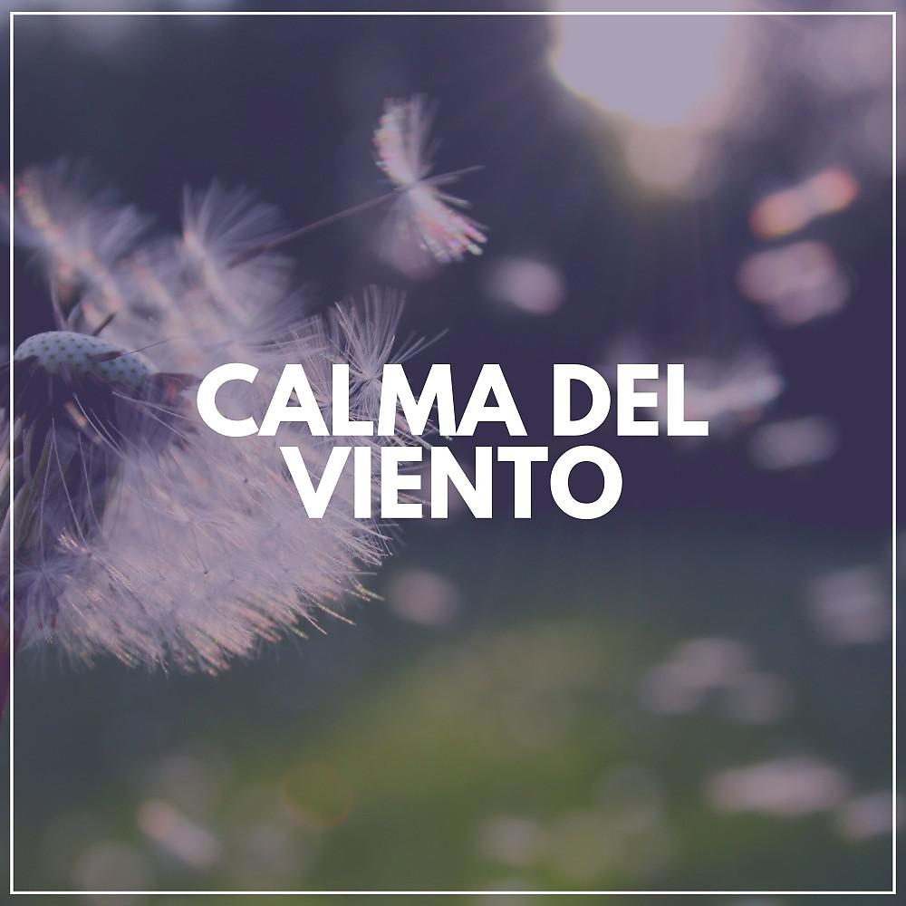 Постер альбома Calma del Viento
