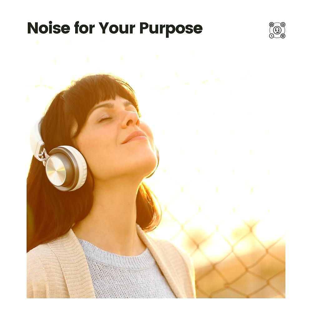 Постер альбома Noise for Your Purpose