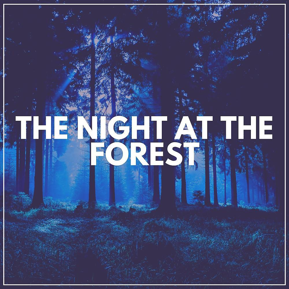 Постер альбома The Night at the Forest