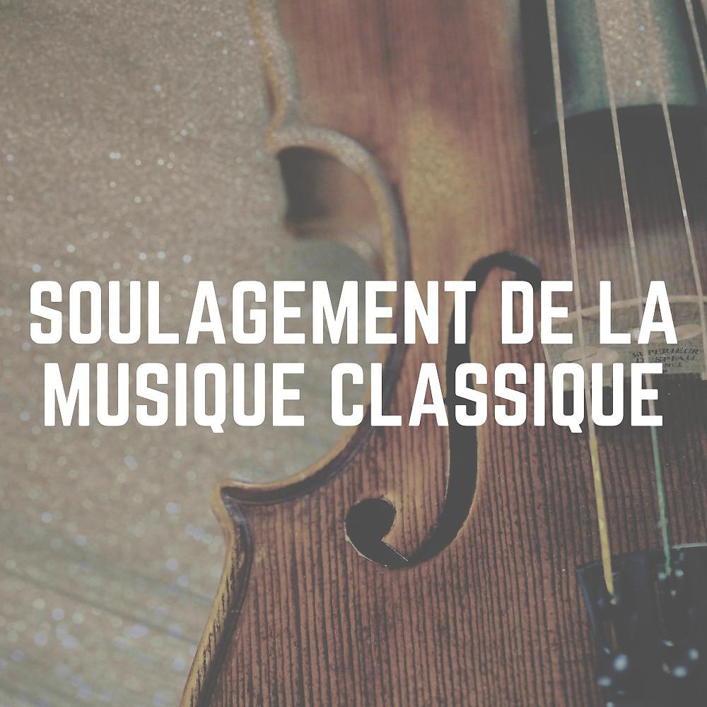 Постер альбома Soulagement de LA Musique Classique