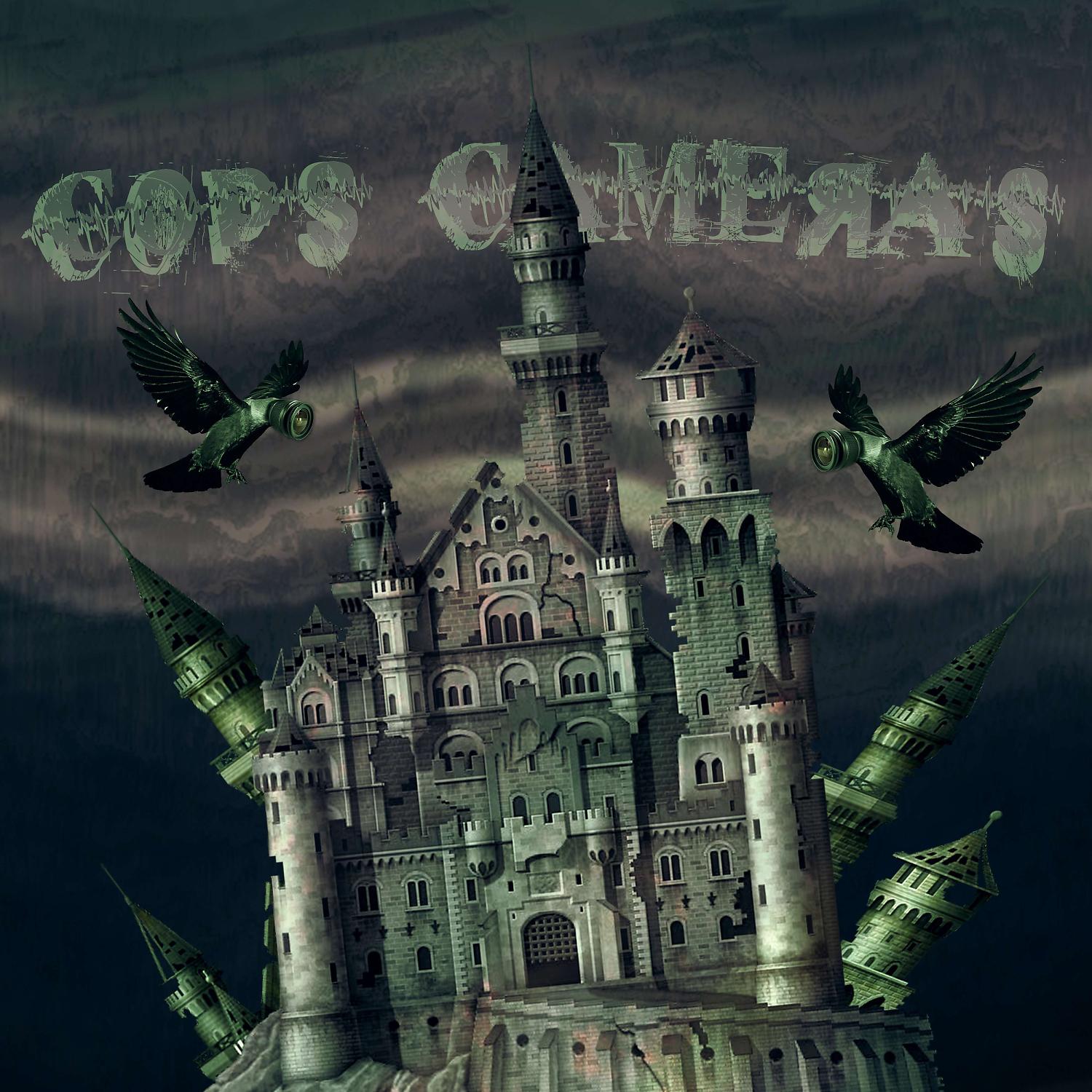 Постер альбома COPS-CAMERAS