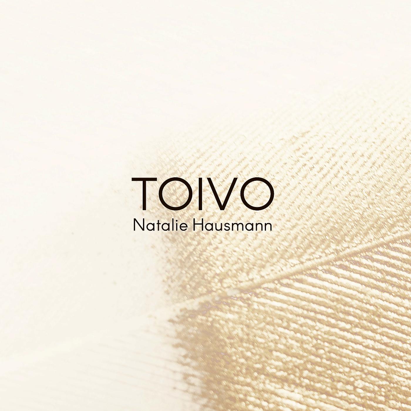 Постер альбома Toivo