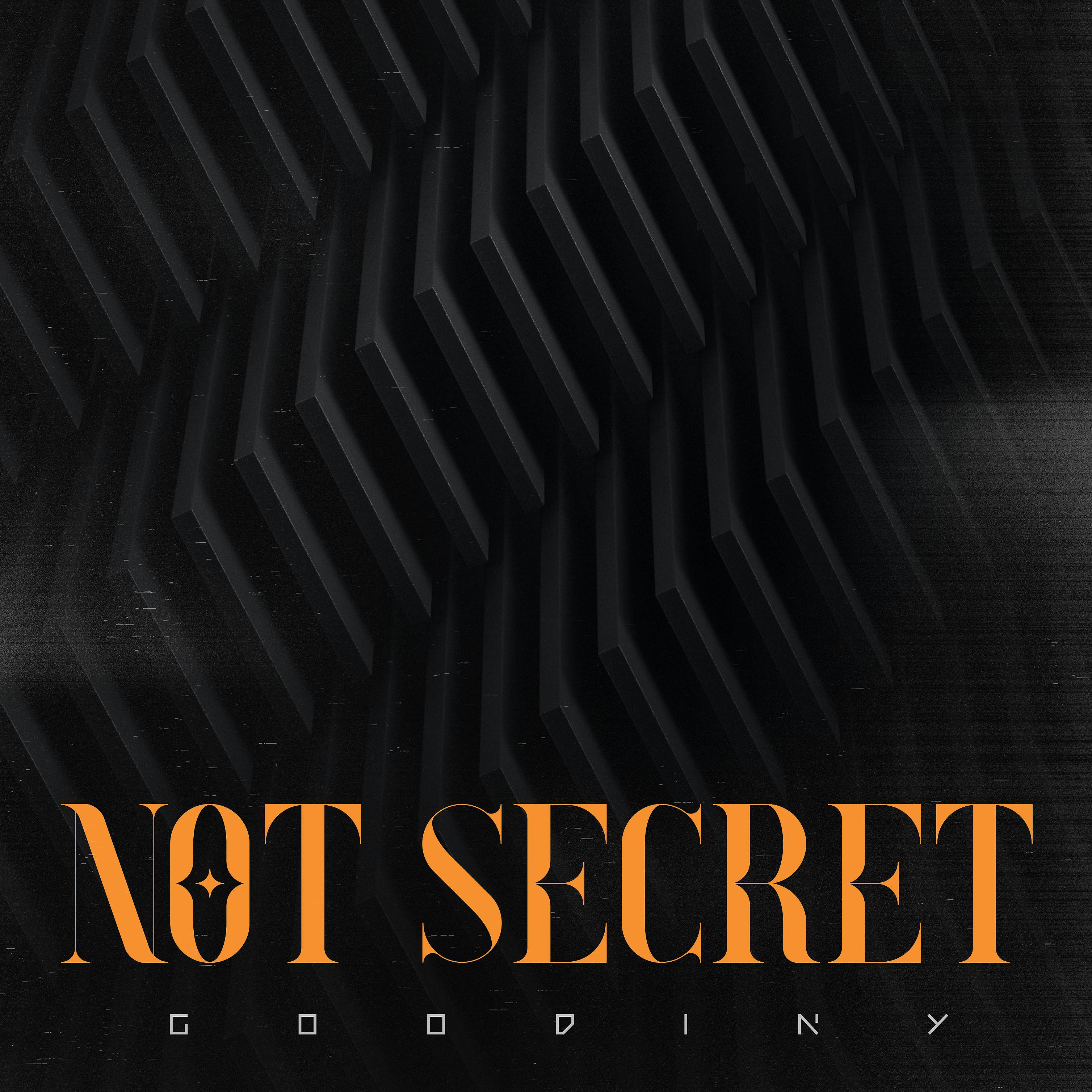 Постер альбома Not Secret