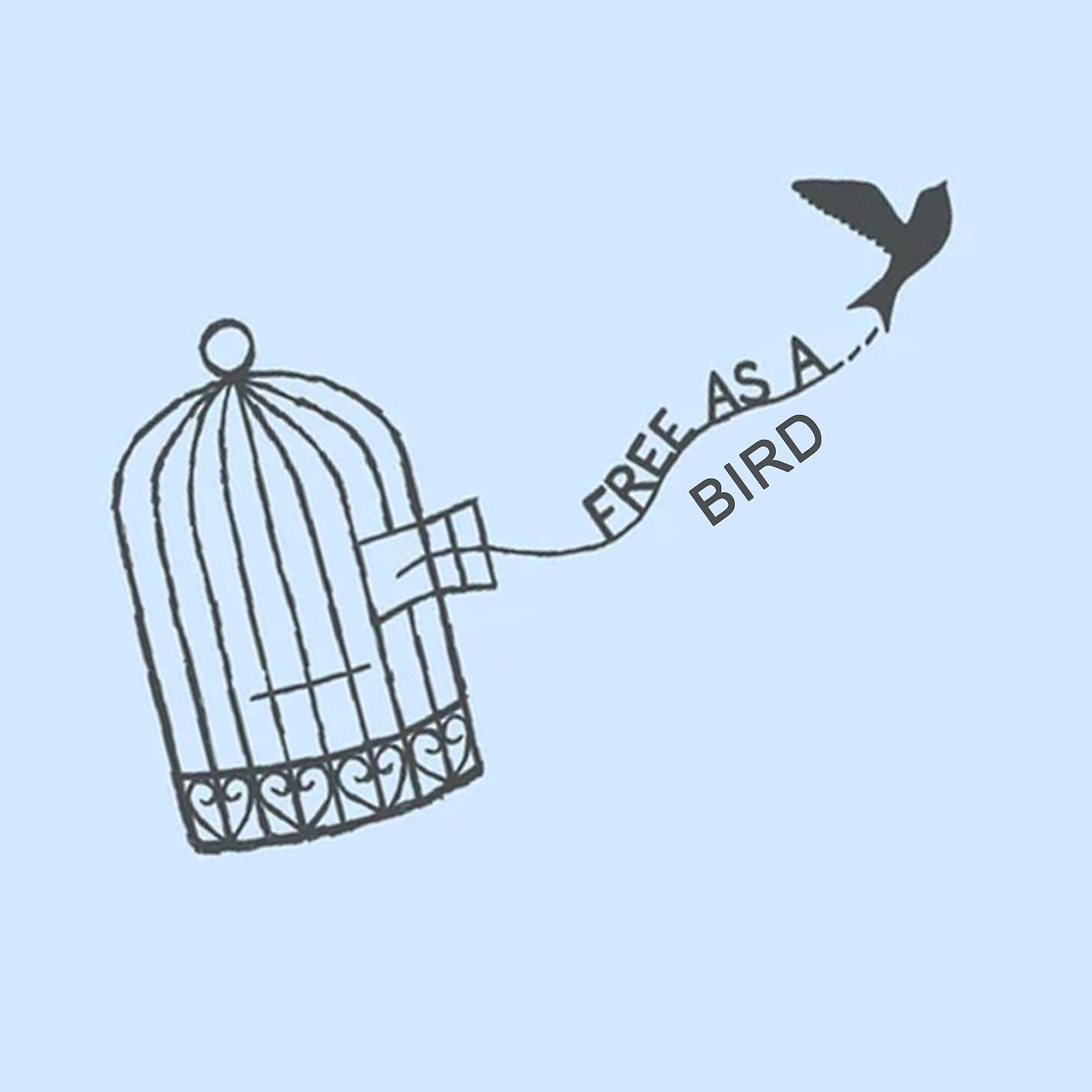 Постер альбома Free as a Bird