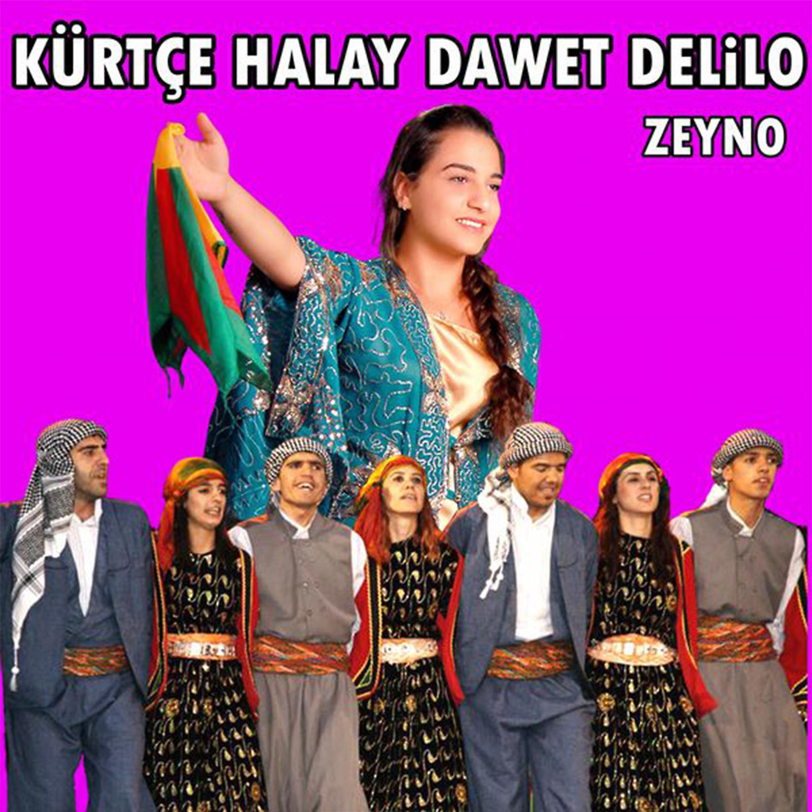 Постер альбома Kürtçe Halay Dawet Delilo