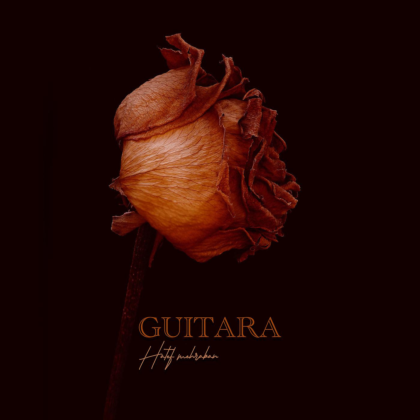 Постер альбома Guitara