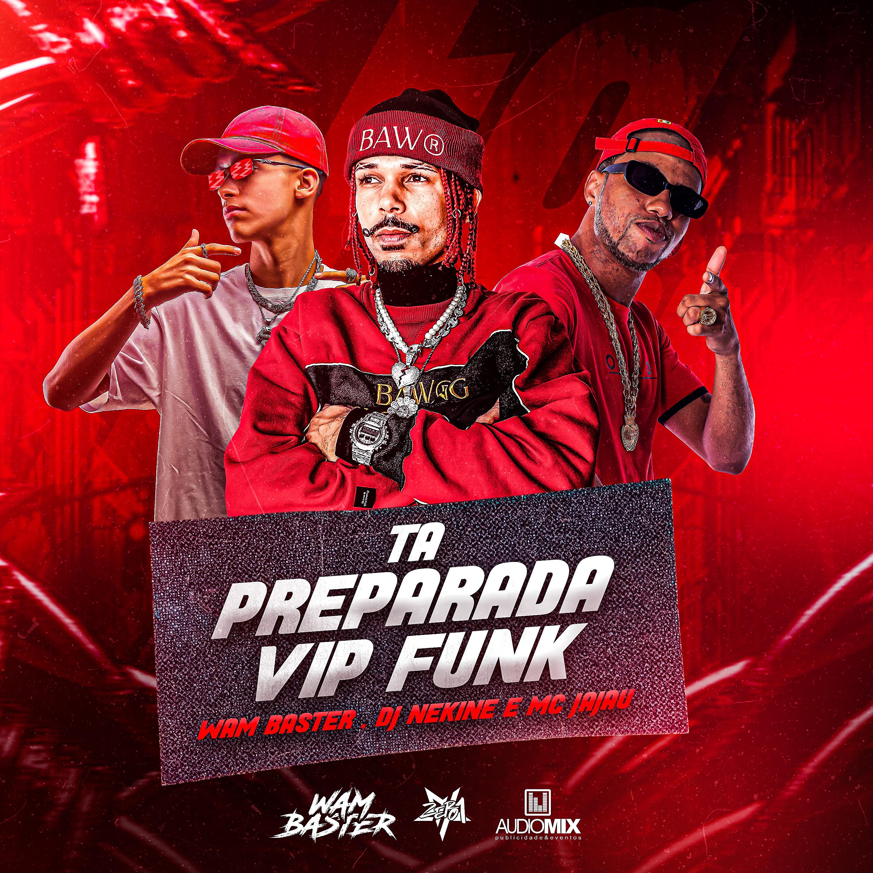 Постер альбома Tá Preparada Vip Funk