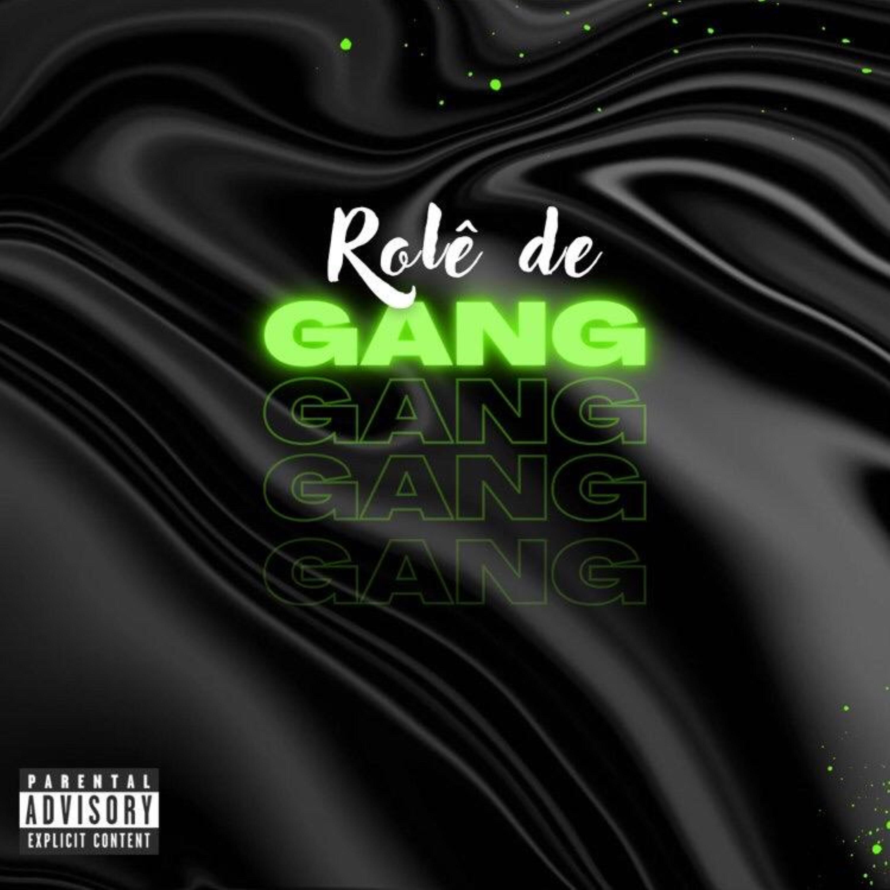 Постер альбома Rolê de Gang