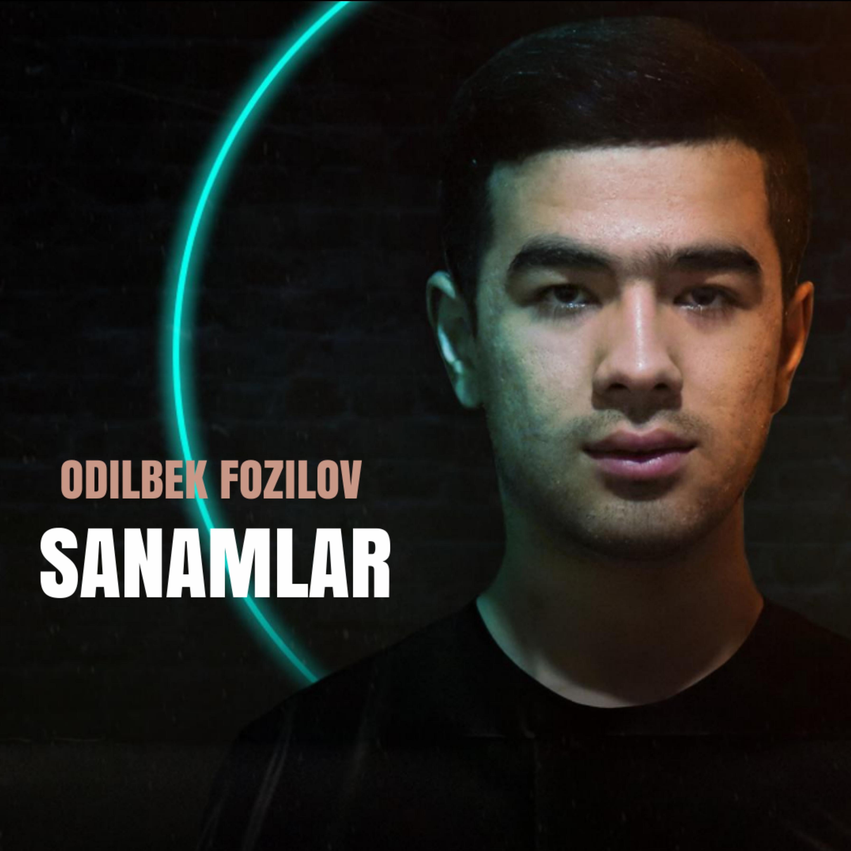 Постер альбома Sanamlar